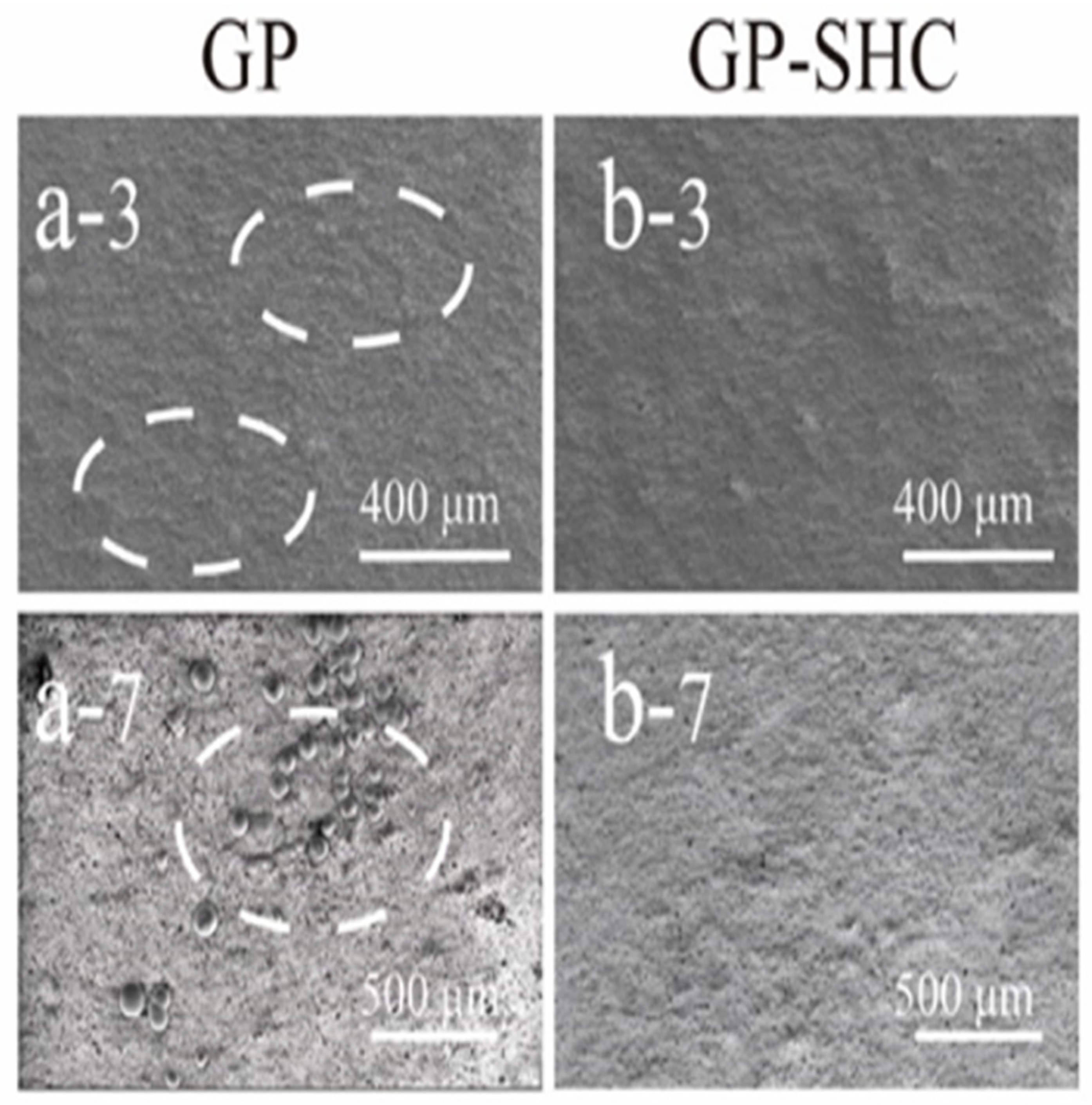 Coatings 14 00974 g004