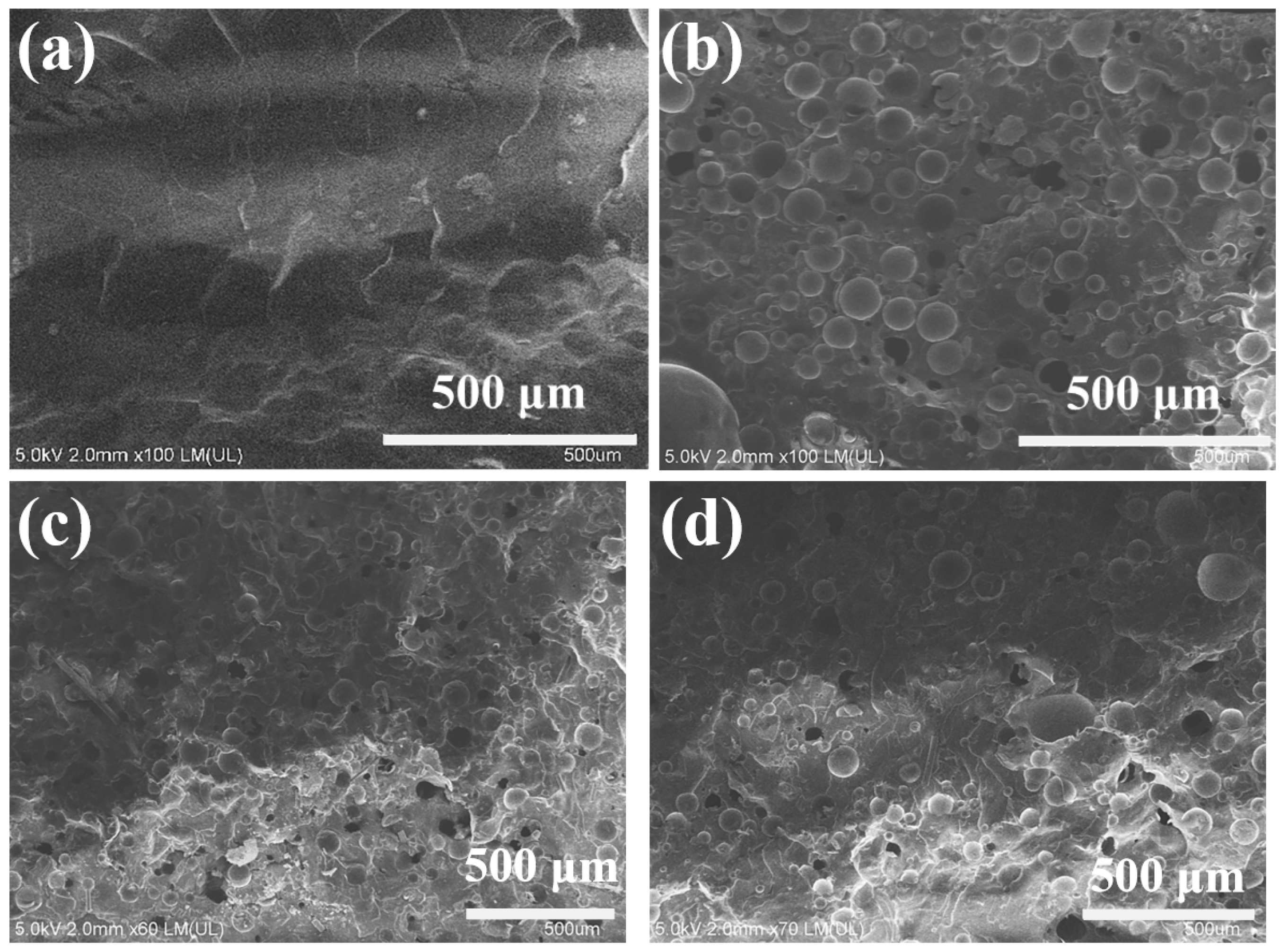 Coatings 14 00976 g002