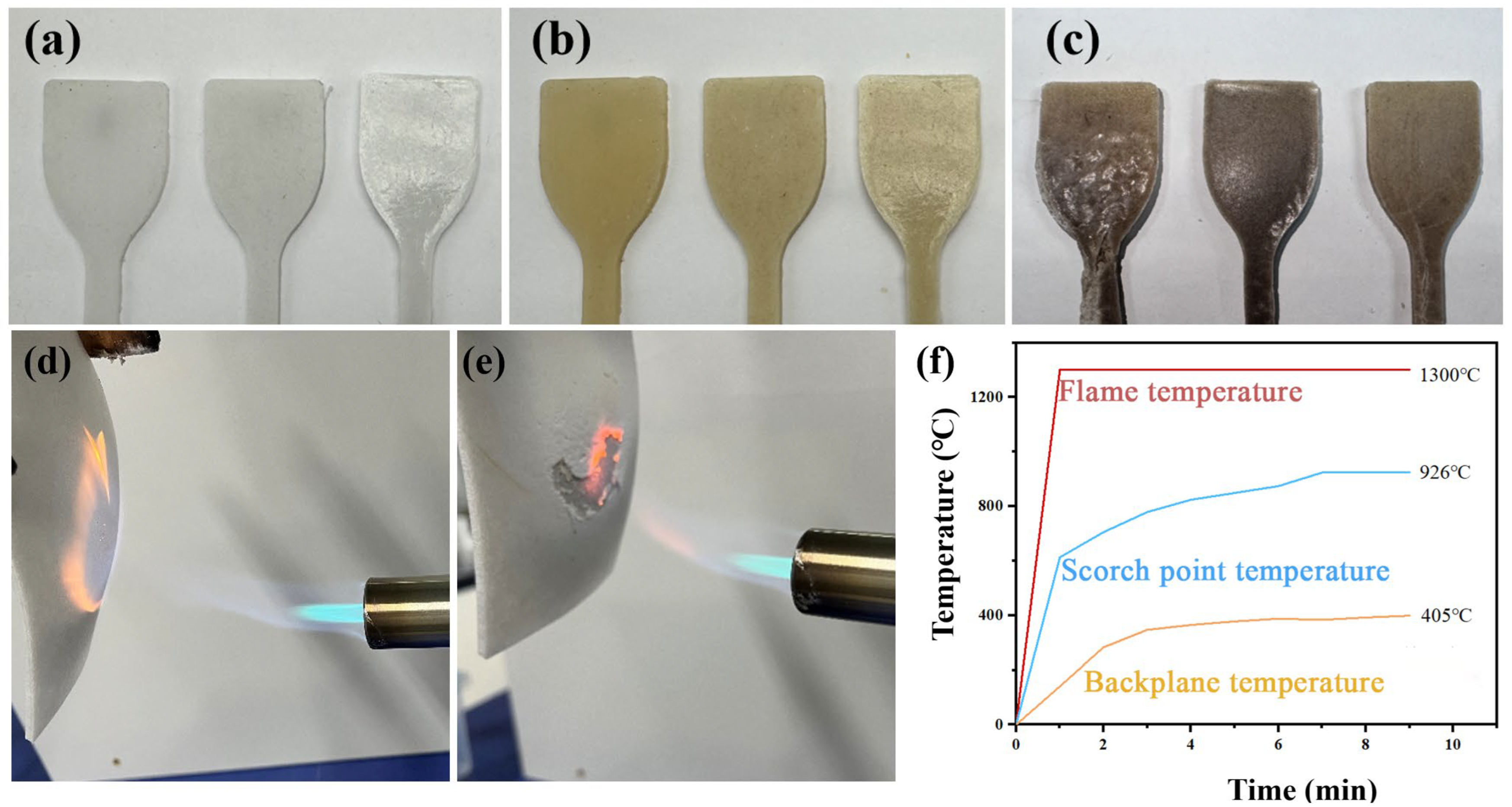 Coatings 14 00976 g009