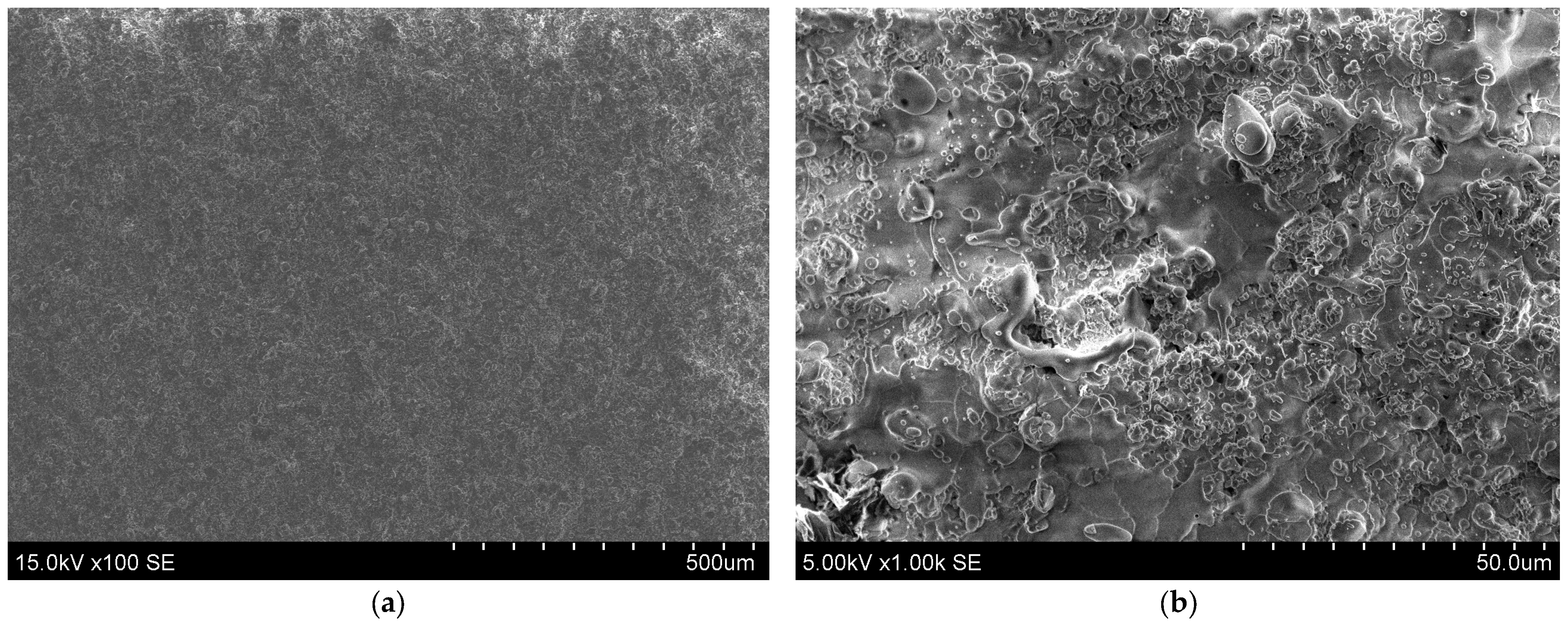 Coatings 14 00978 g003a