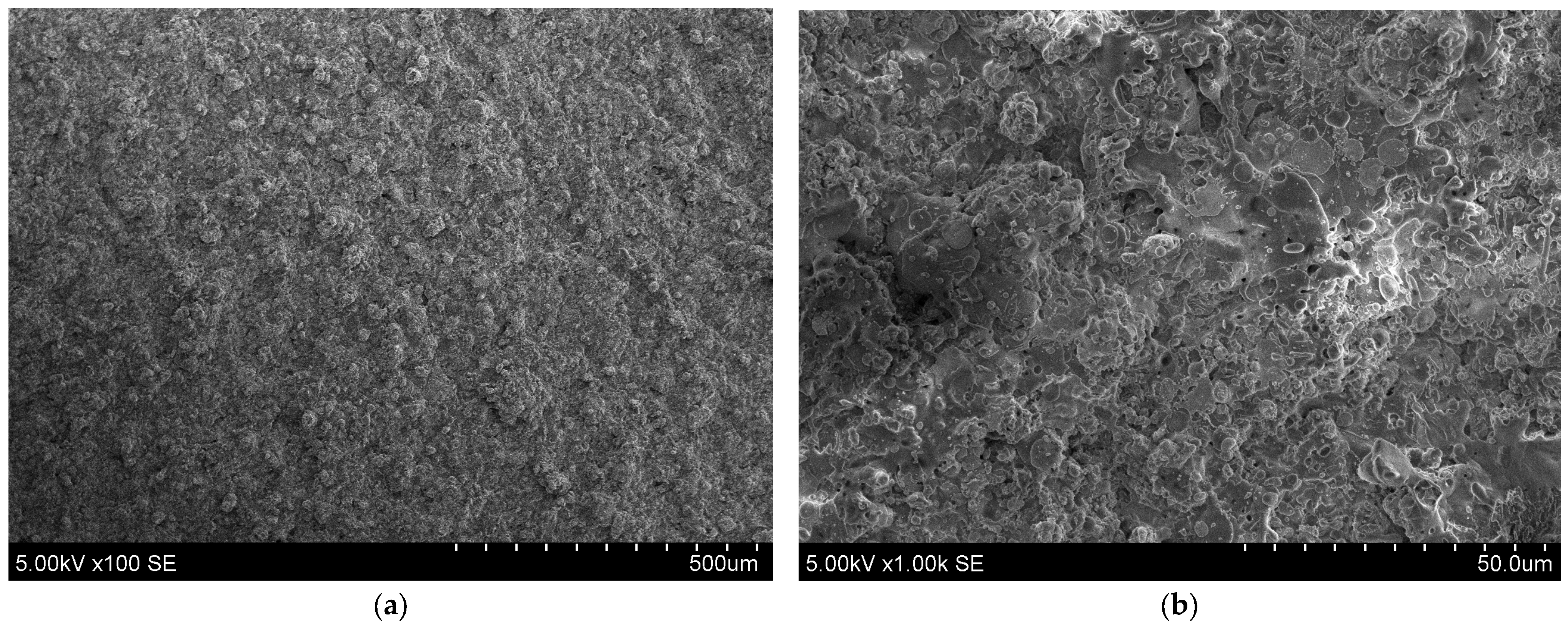 Coatings 14 00978 g004