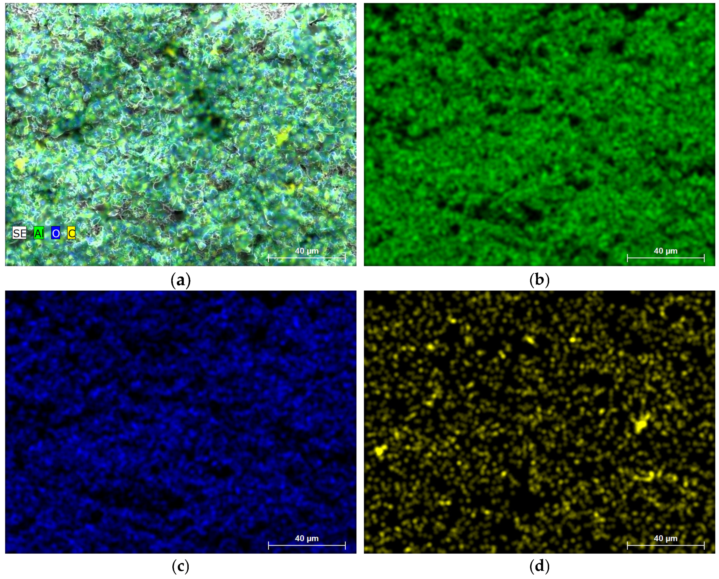 Coatings 14 00978 g005