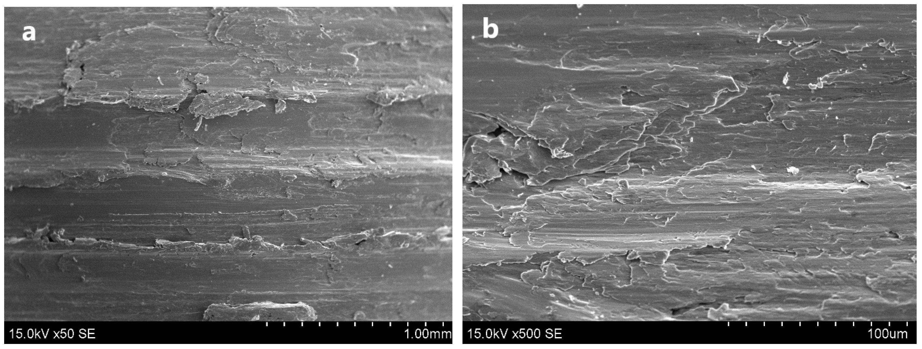 Coatings 14 00978 g007a