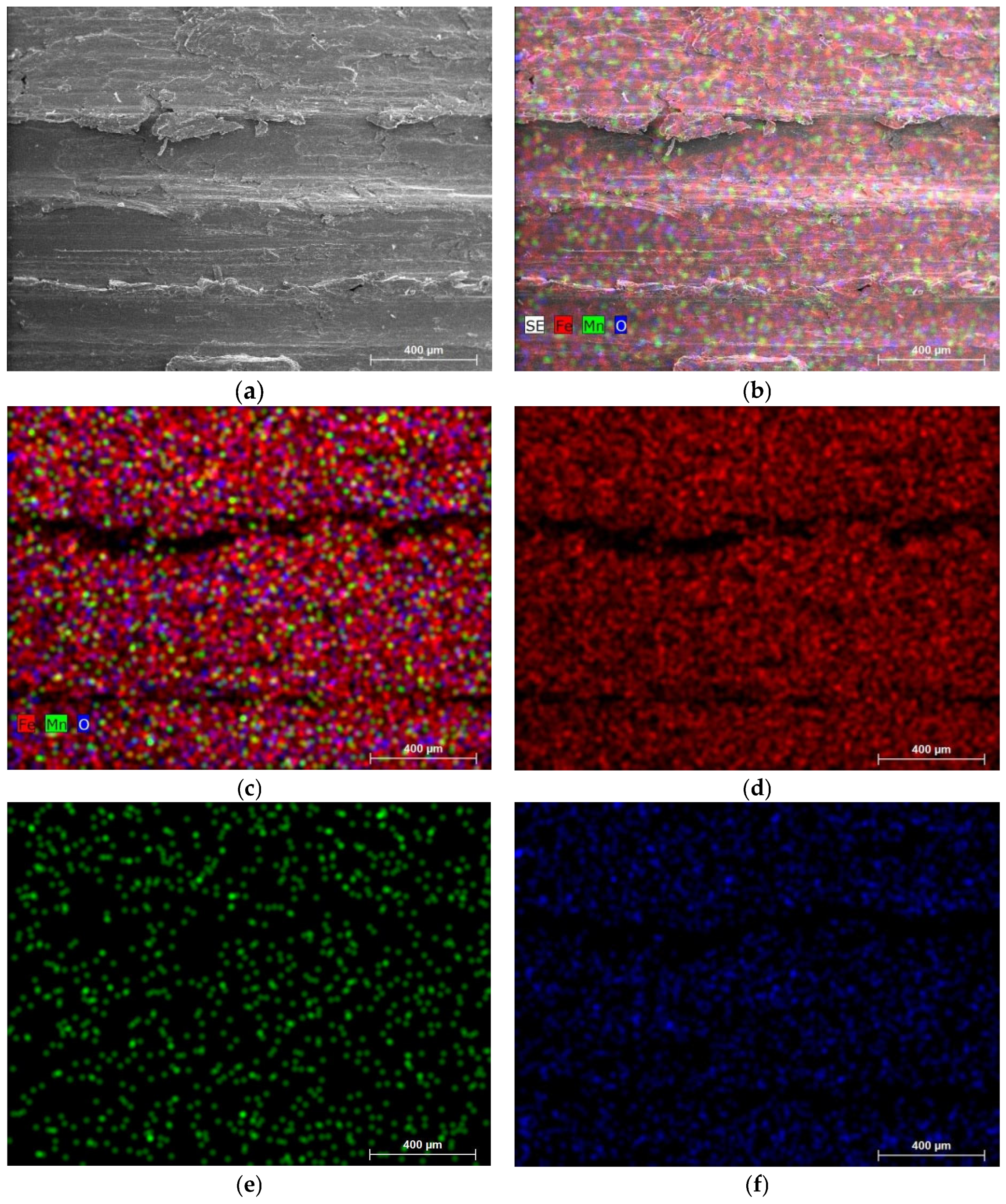 Coatings 14 00978 g008