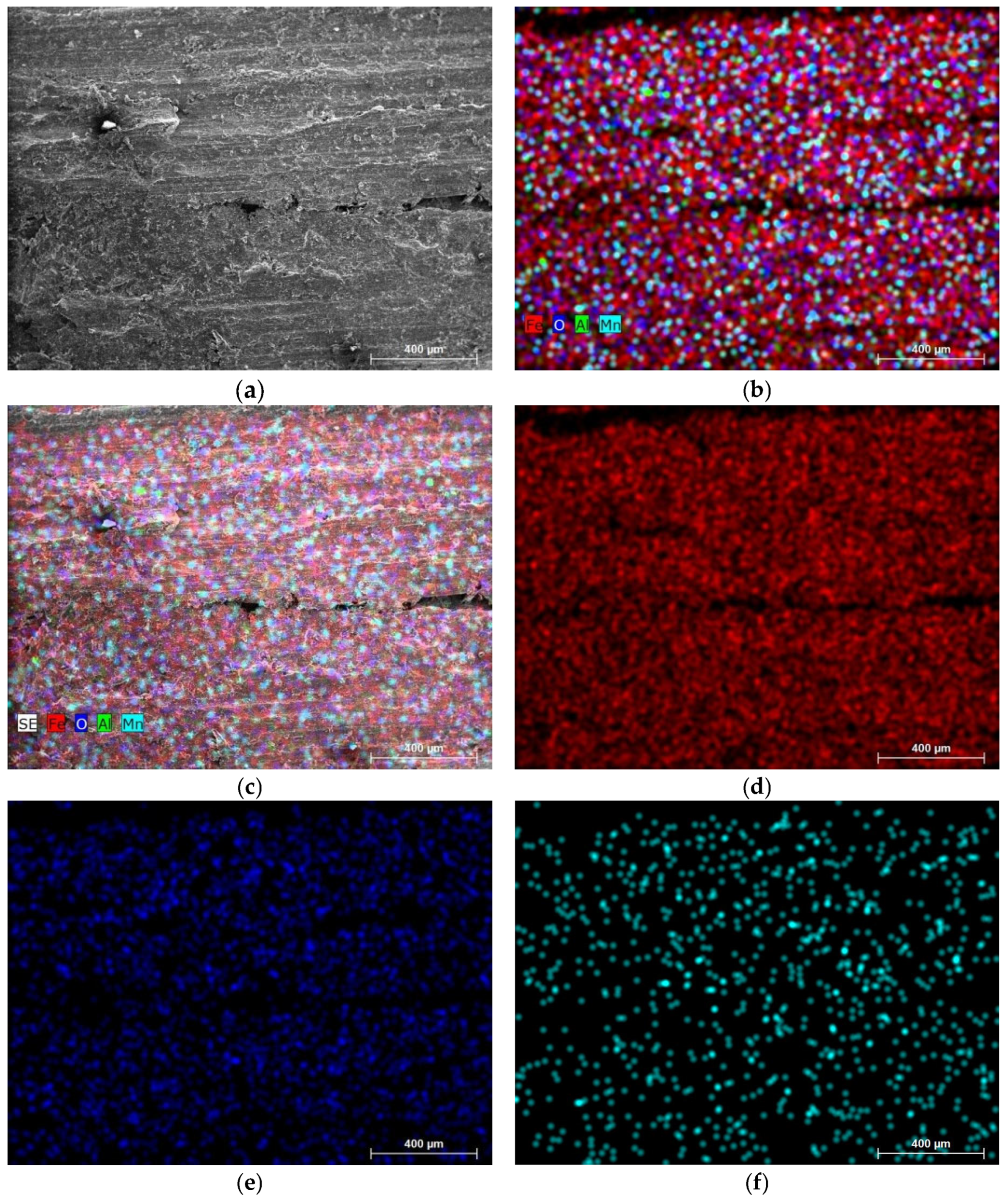 Coatings 14 00978 g009