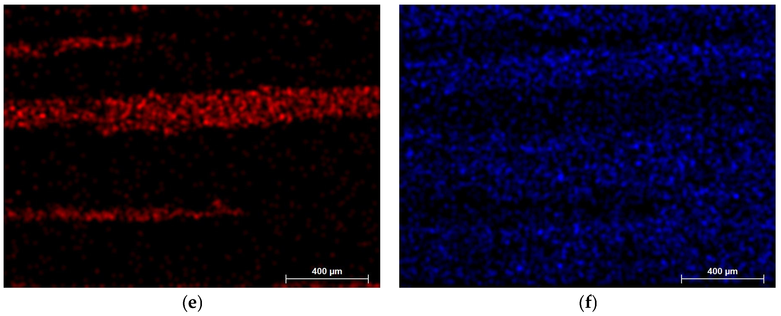 Coatings 14 00978 g011b