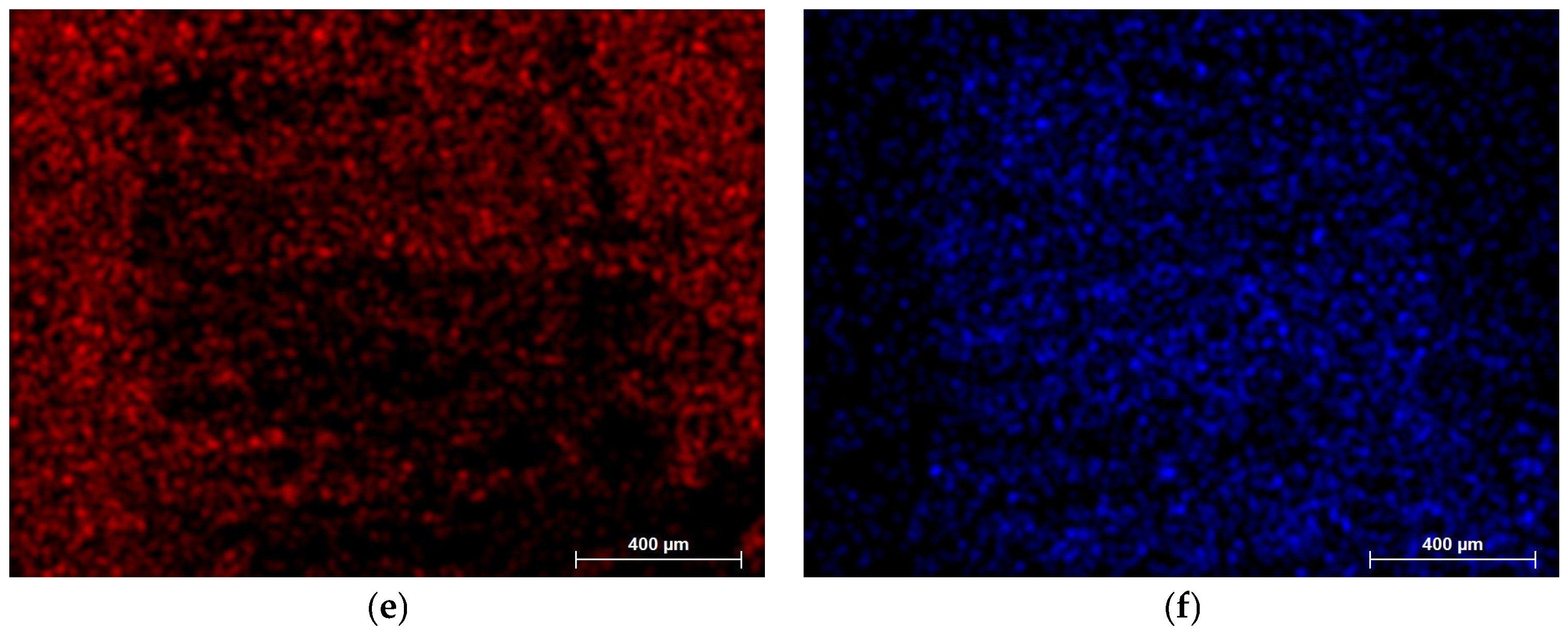 Coatings 14 00978 g012b