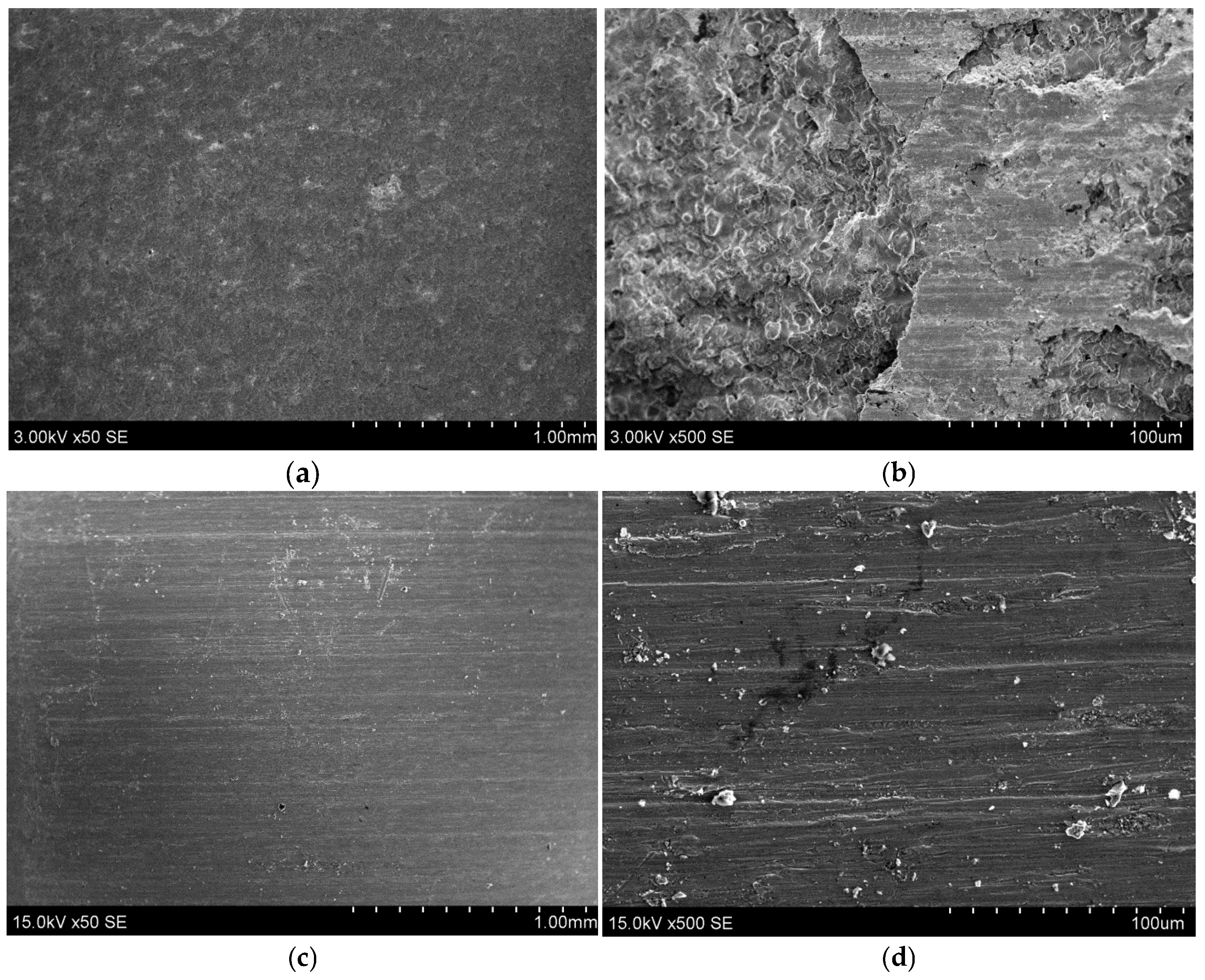 Coatings 14 00978 g013
