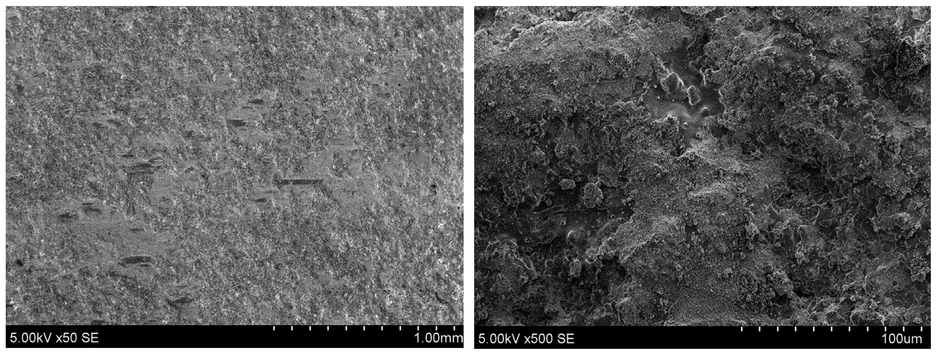 Coatings 14 00978 g014