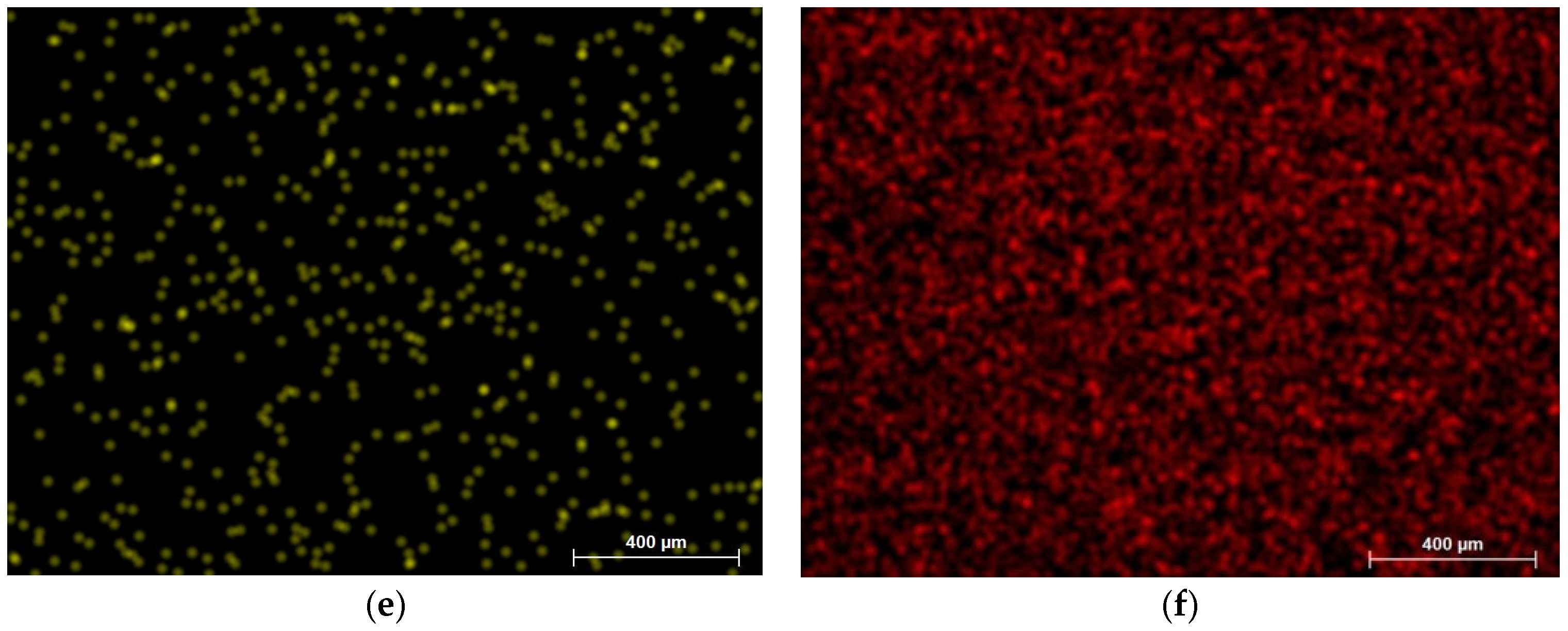 Coatings 14 00978 g016b