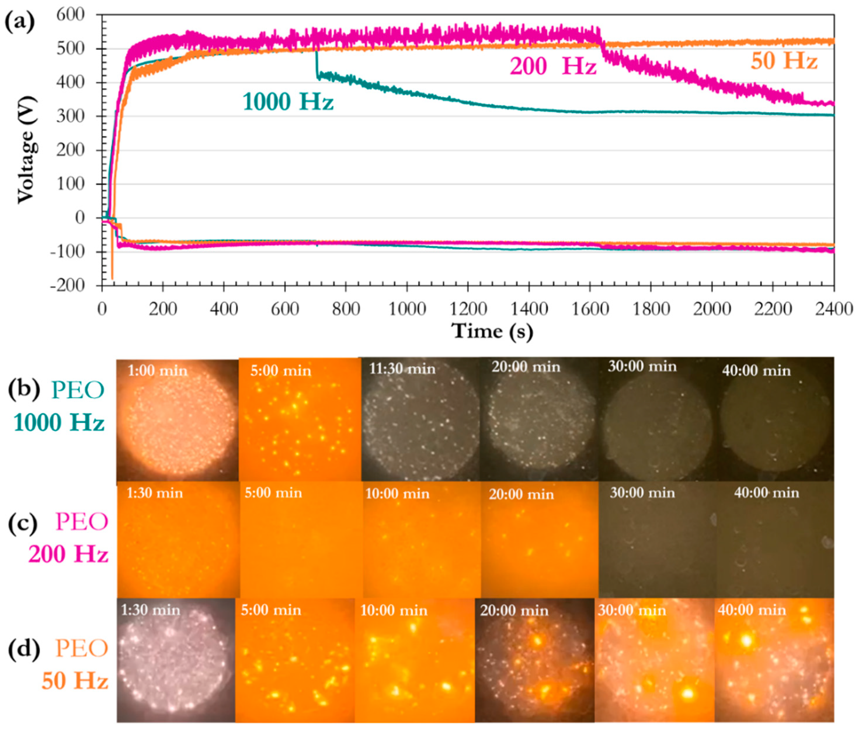 Coatings 14 00979 g002
