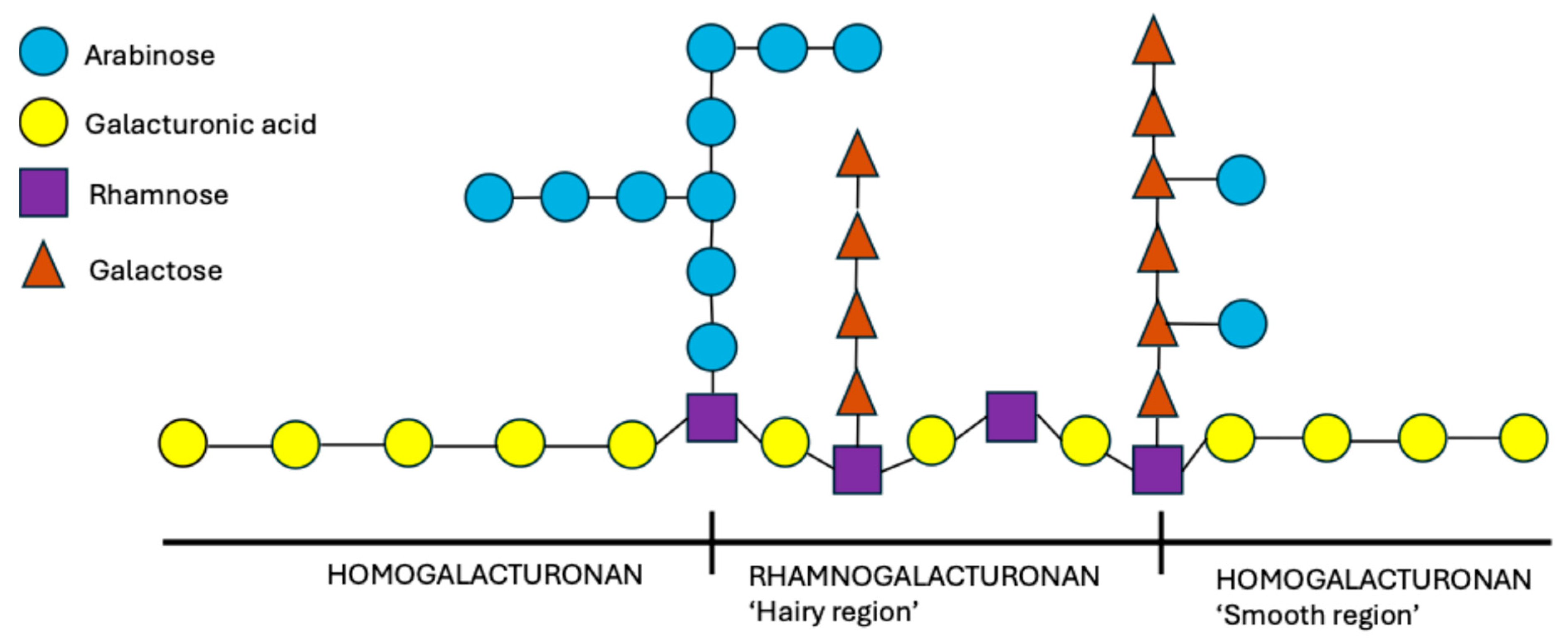 Coatings 14 00987 g001