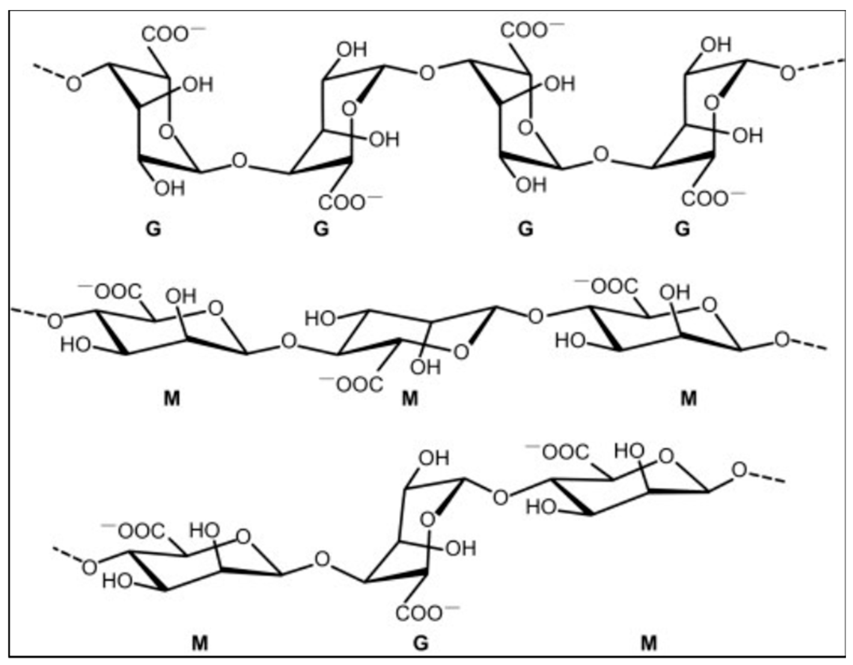 Coatings 14 00987 g002