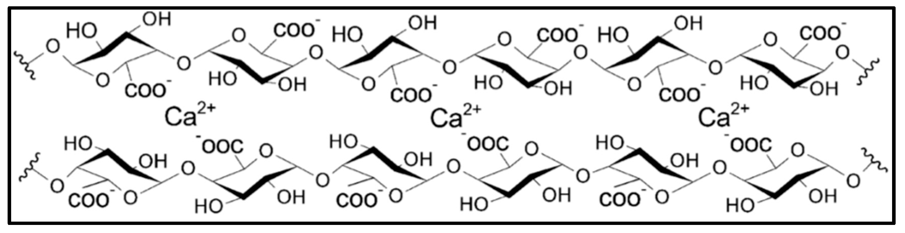 Coatings 14 00987 g003