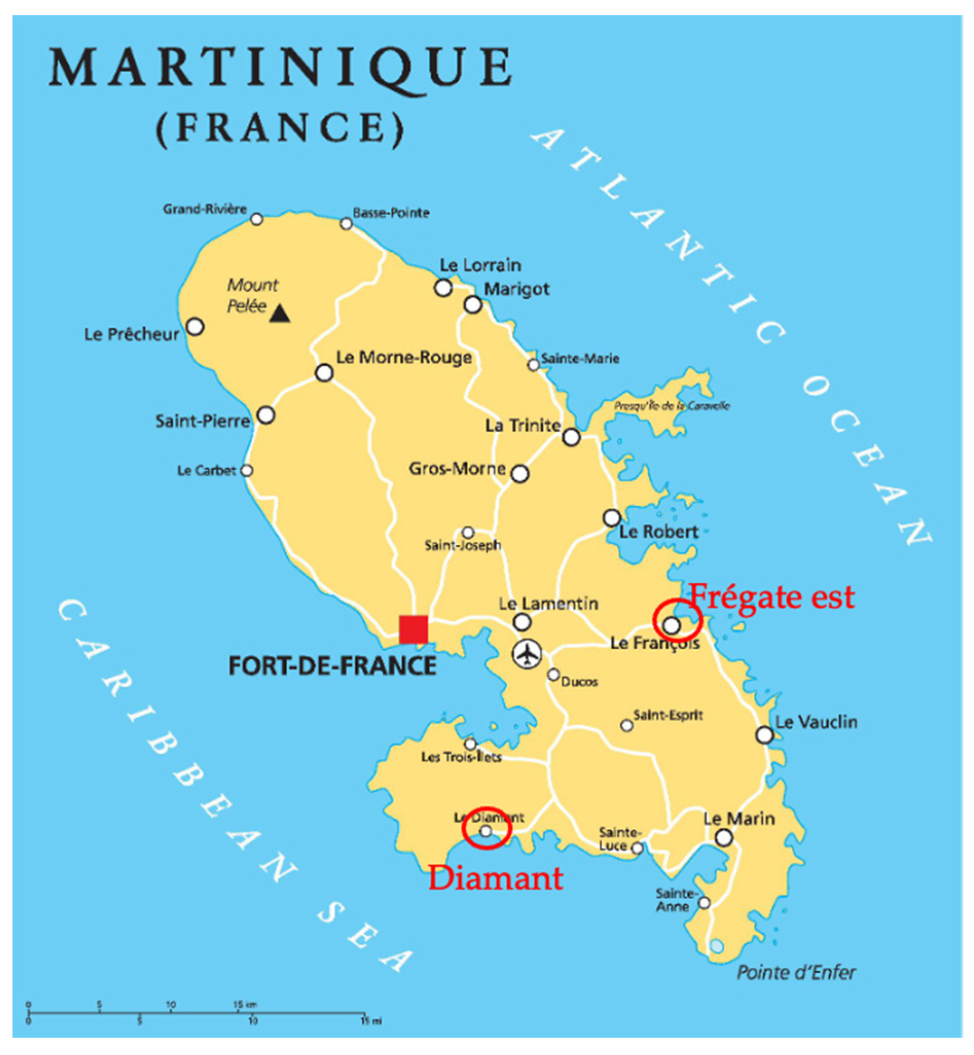 Coatings 14 00988 g001