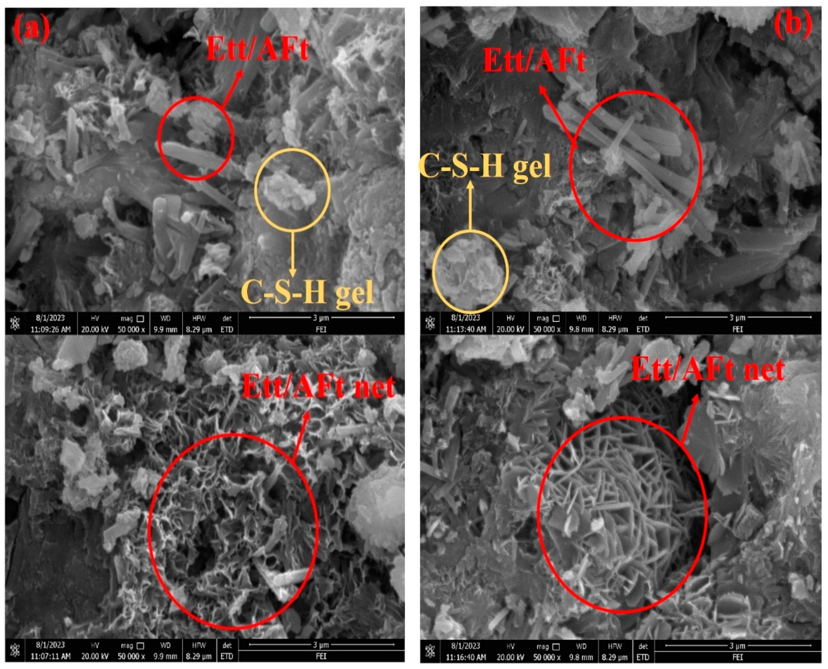 Coatings 14 00989 g014