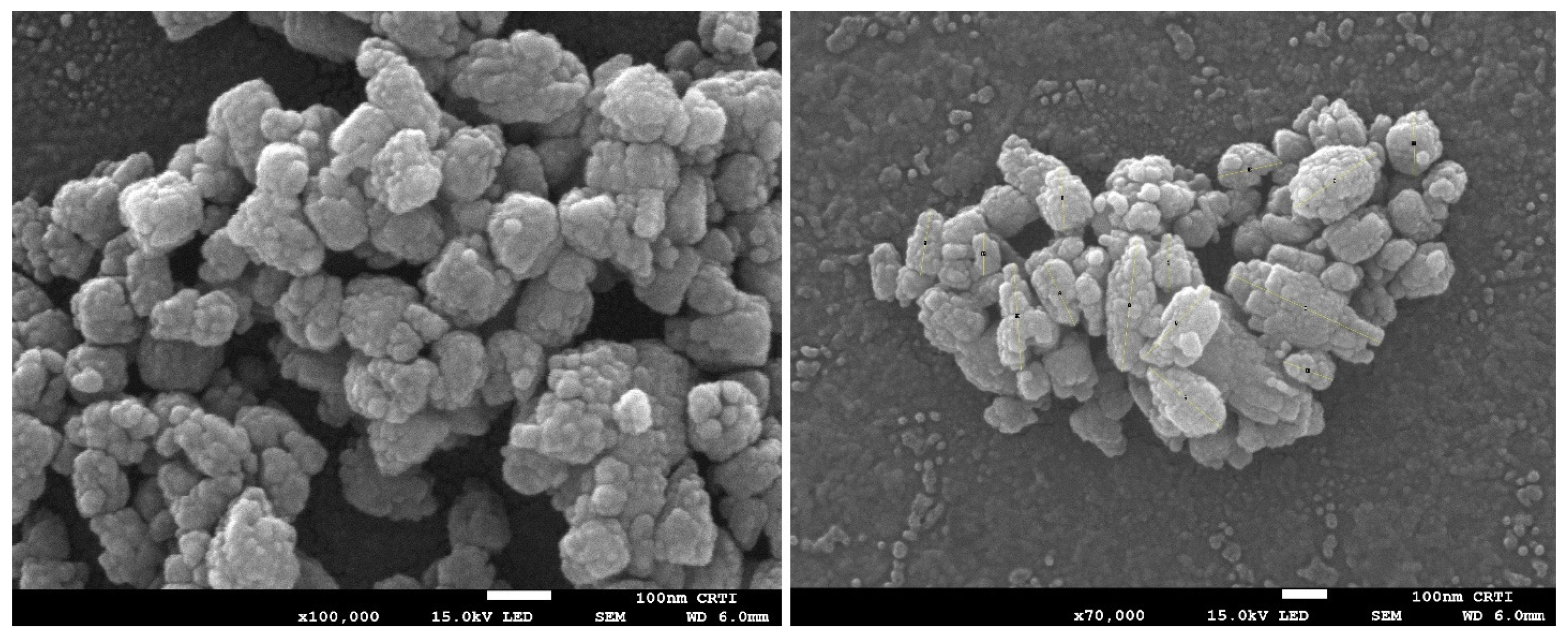 Coatings 14 00990 g003