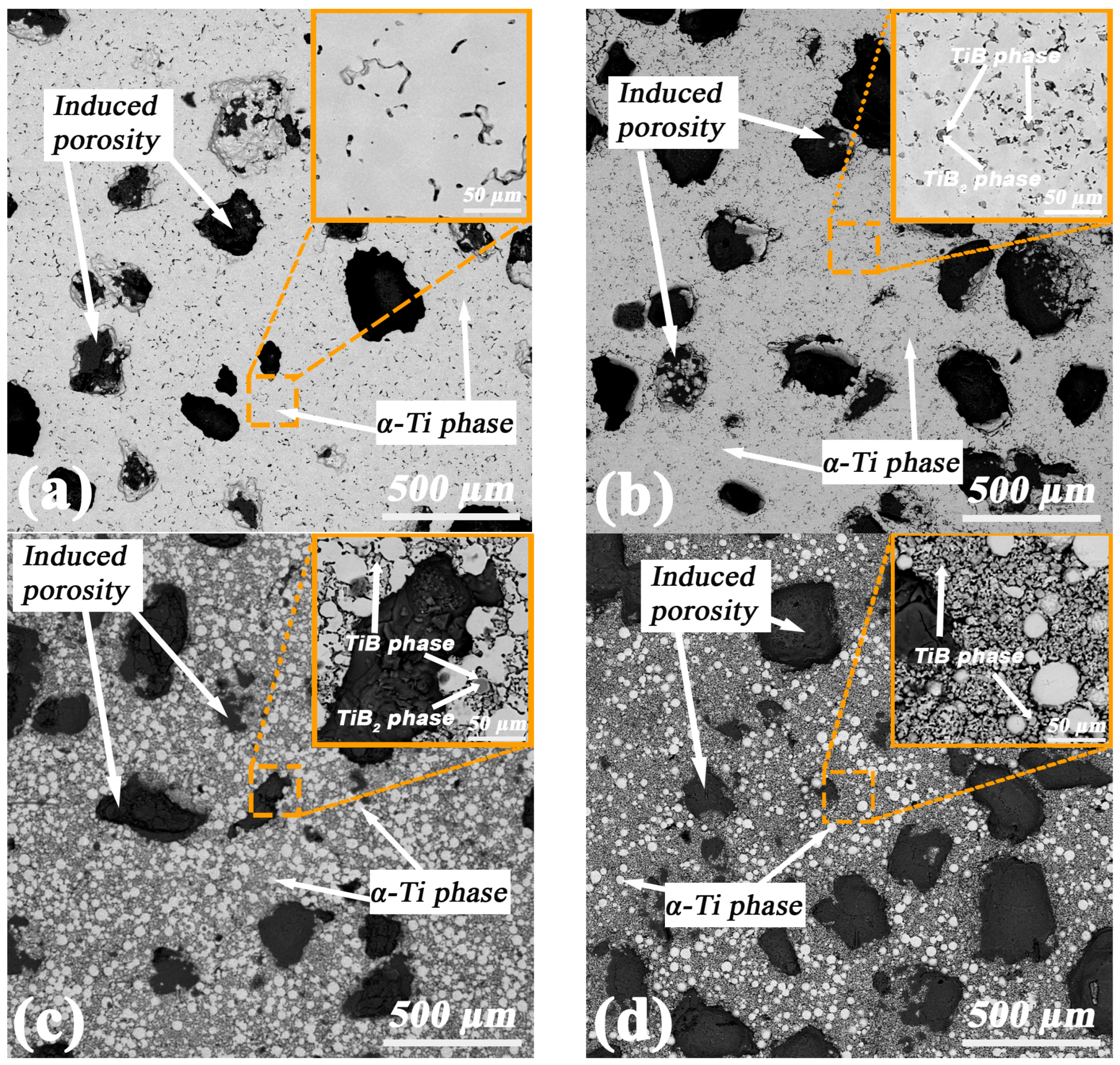 Coatings 14 00991 g001