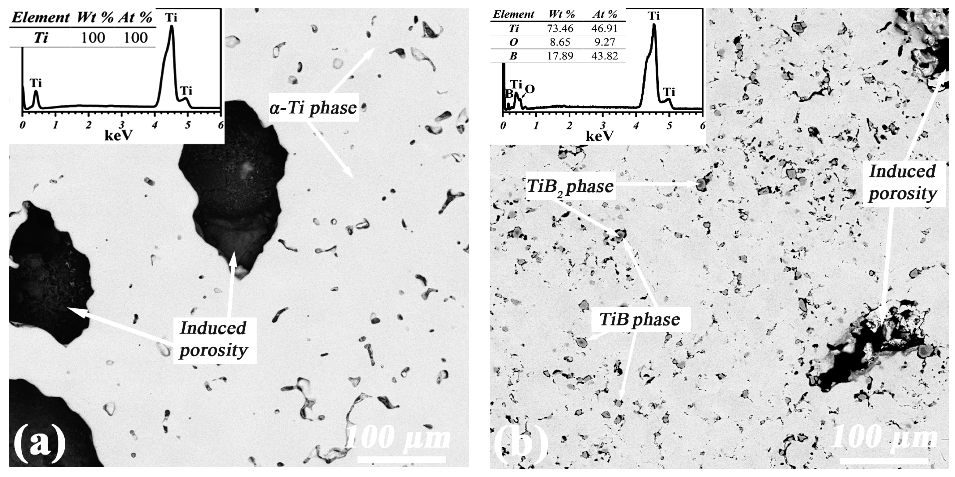 Coatings 14 00991 g005a