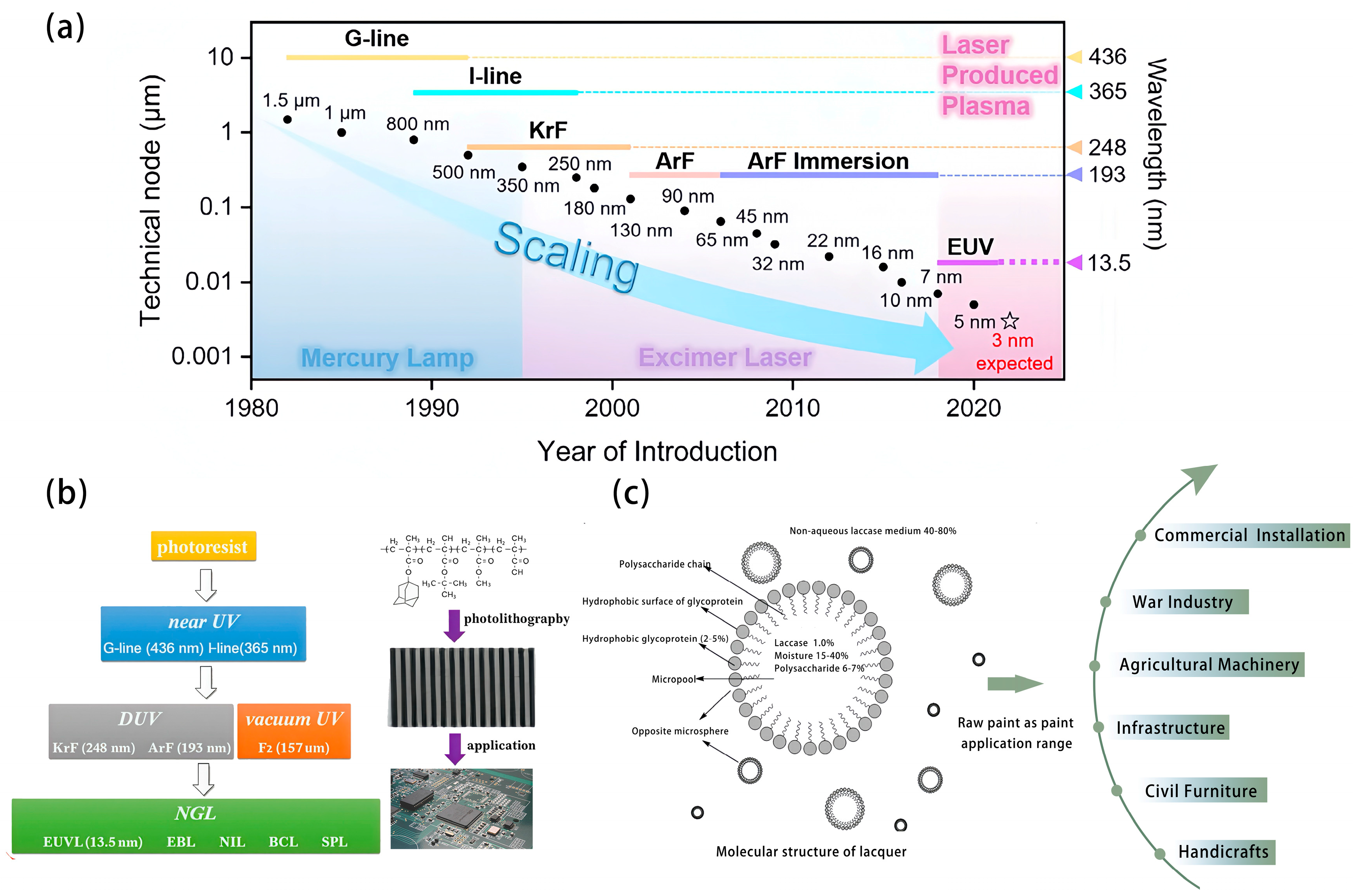 Coatings 14 00994 g001