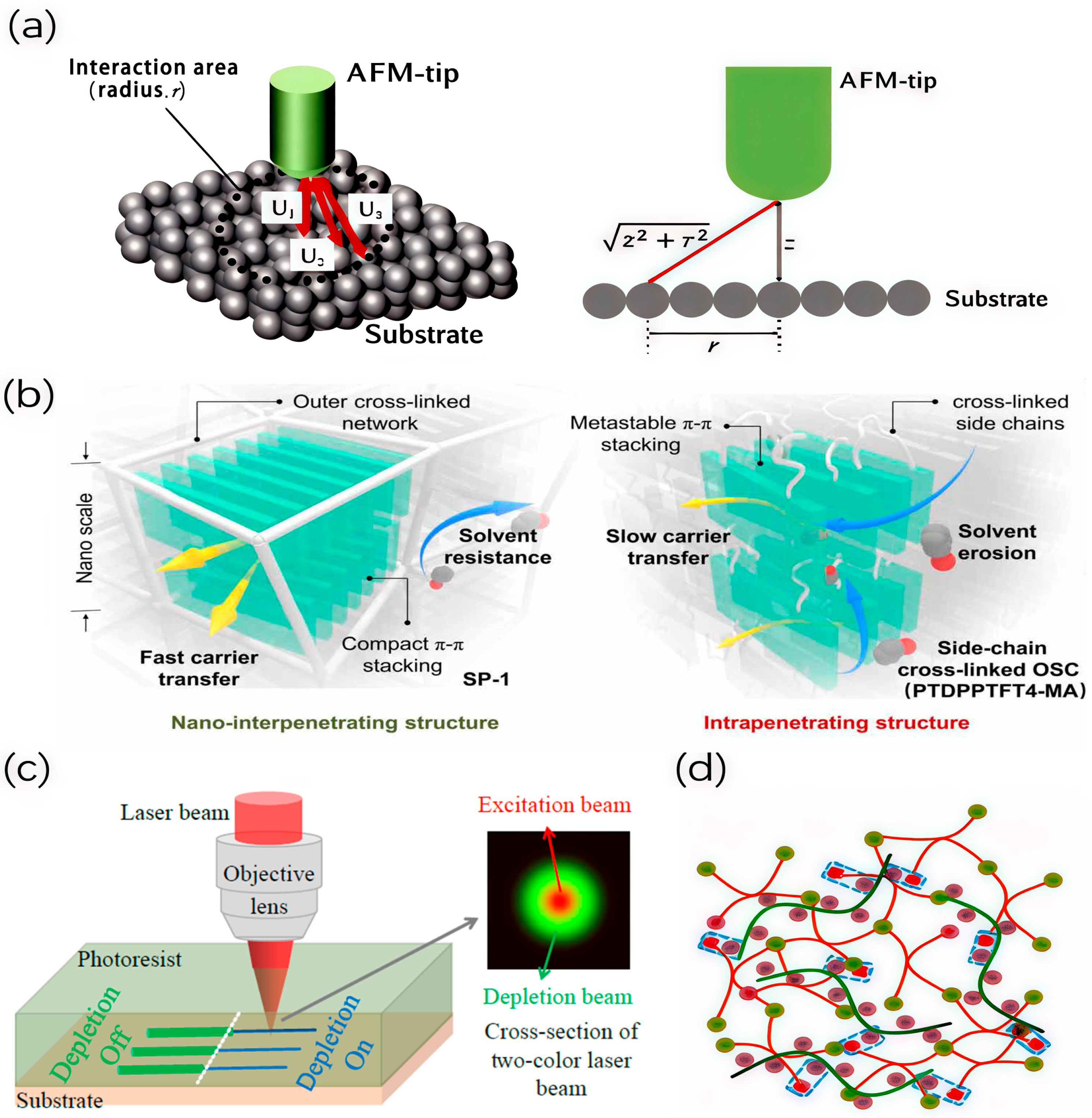 Coatings 14 00994 g005