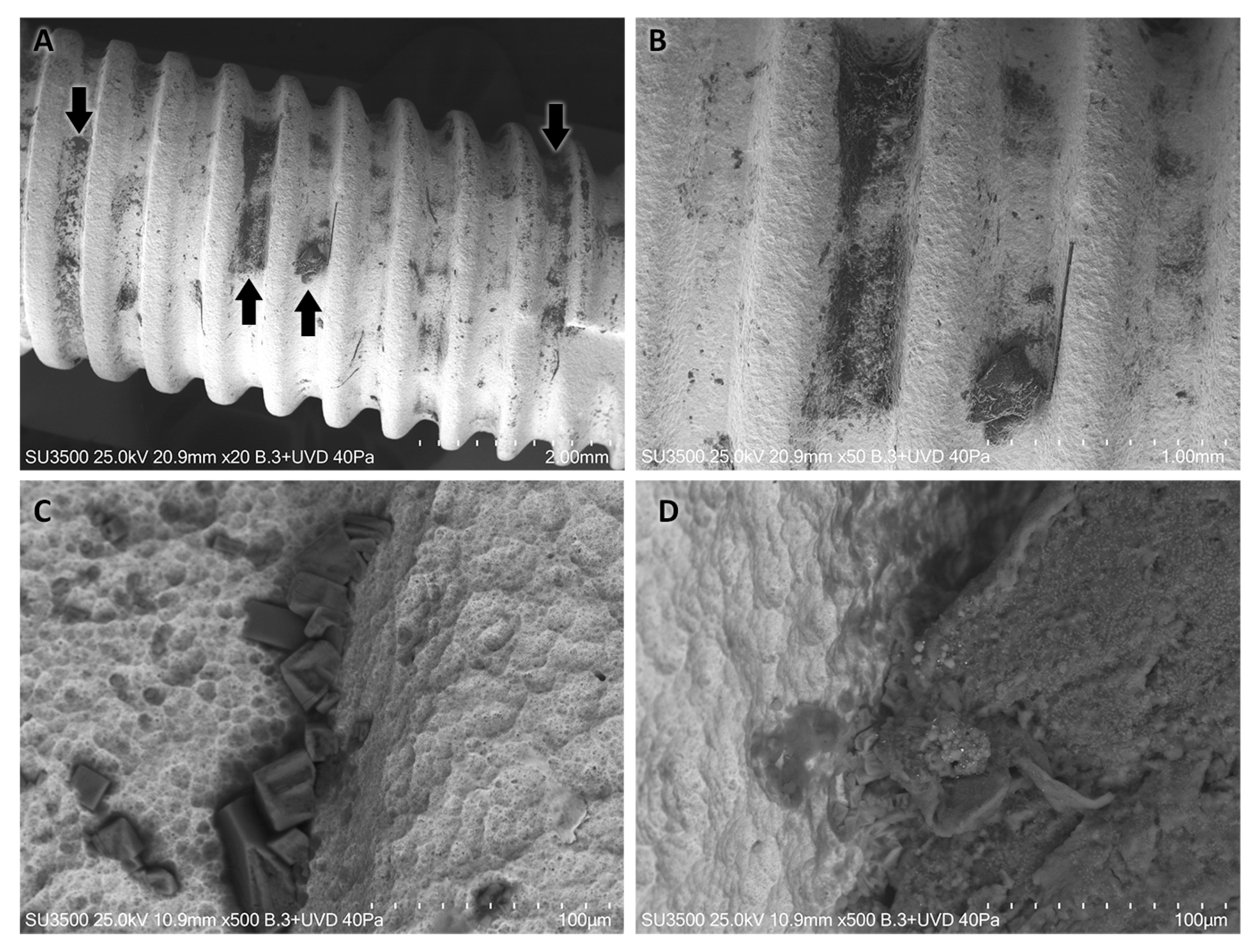 Coatings 14 00995 g002