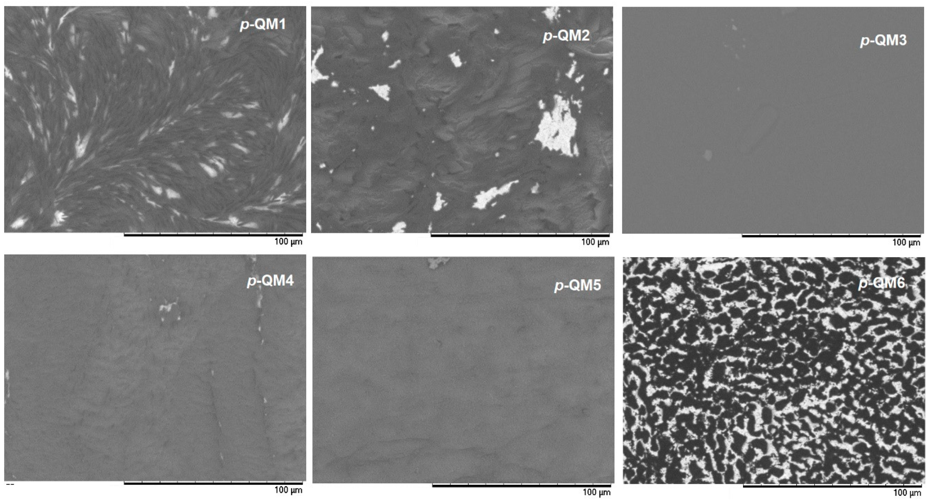 Coatings 14 00998 g006