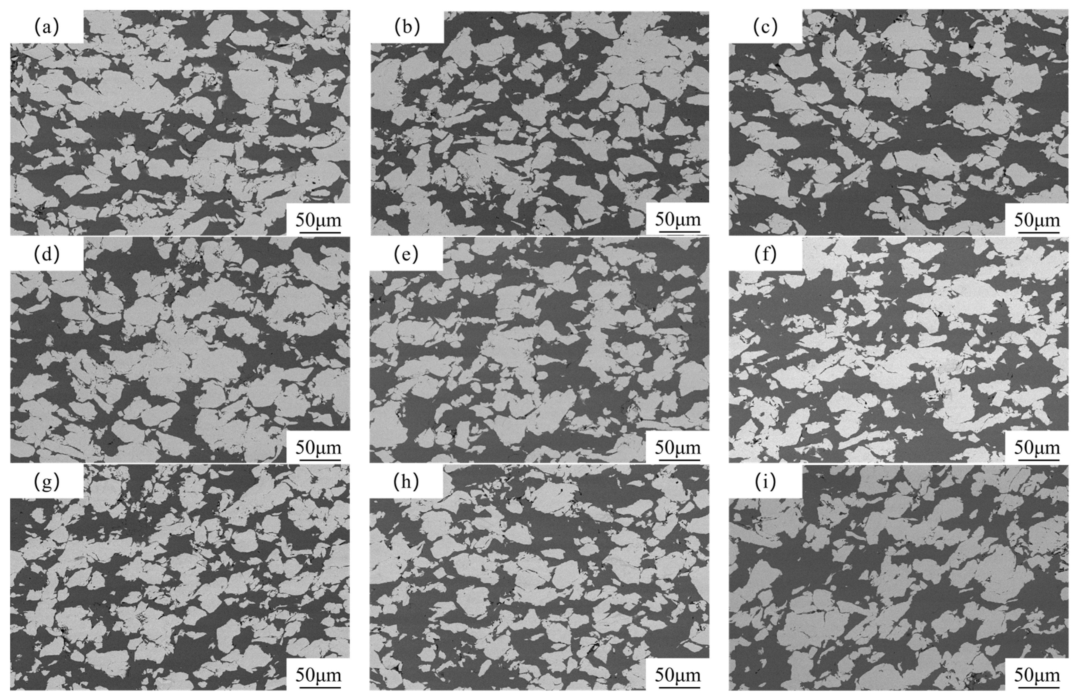 Coatings 14 00999 g002