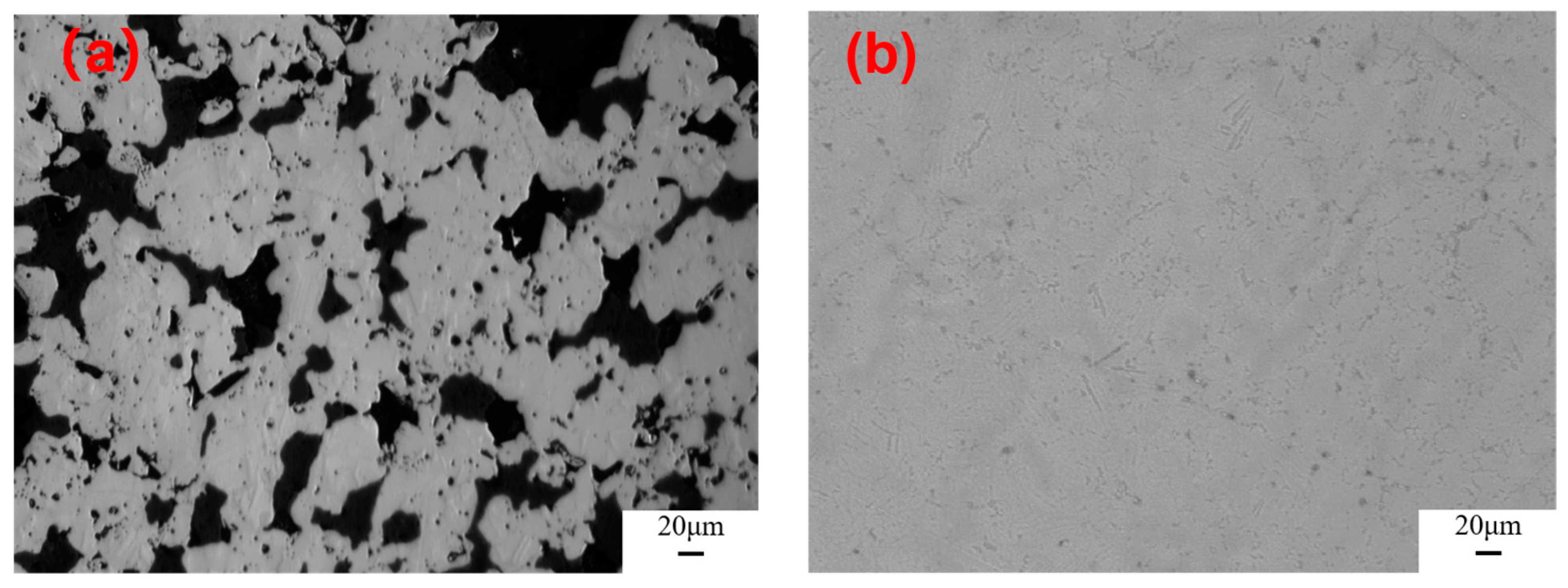 Coatings 14 00999 g006
