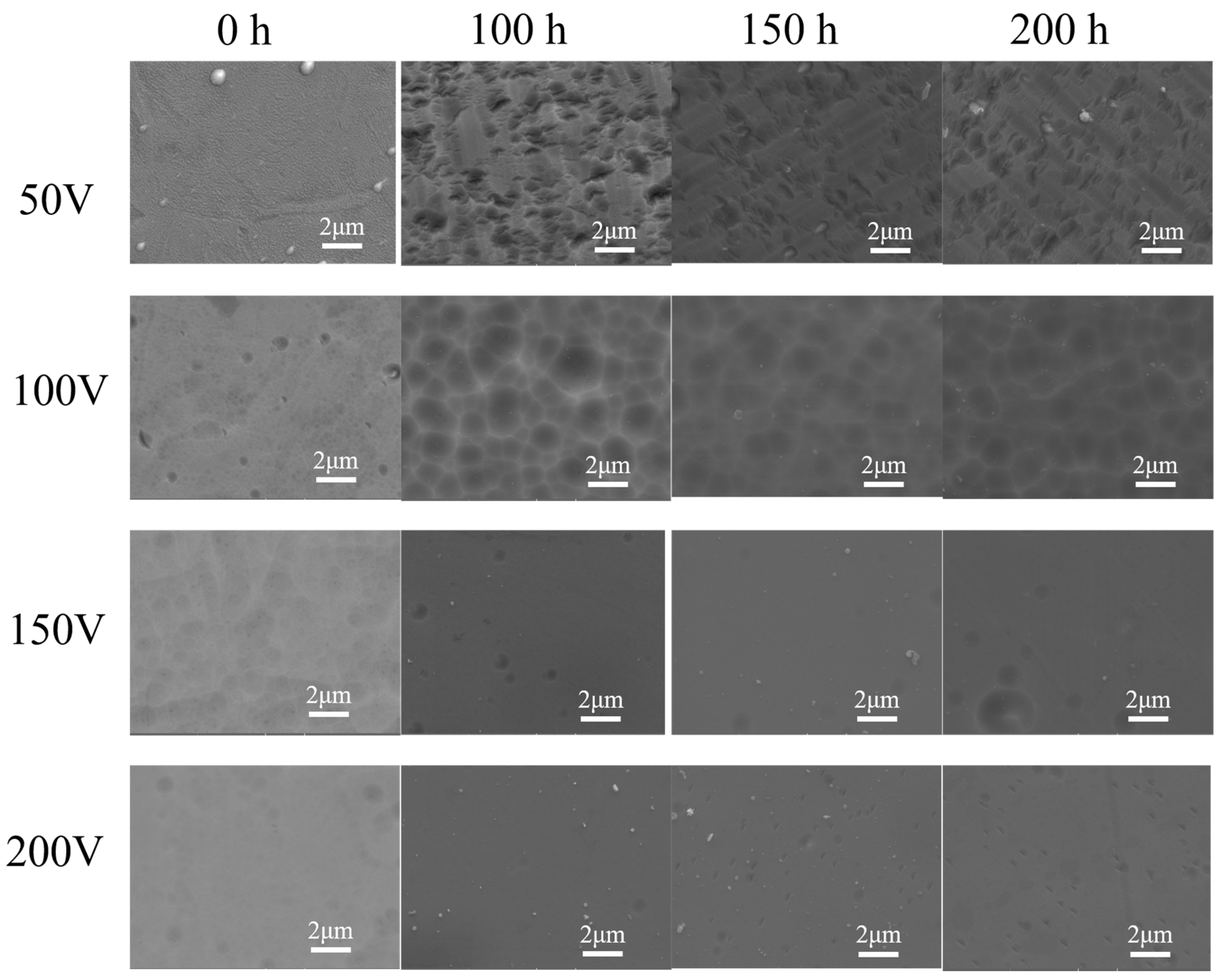 Coatings 14 01006 g007