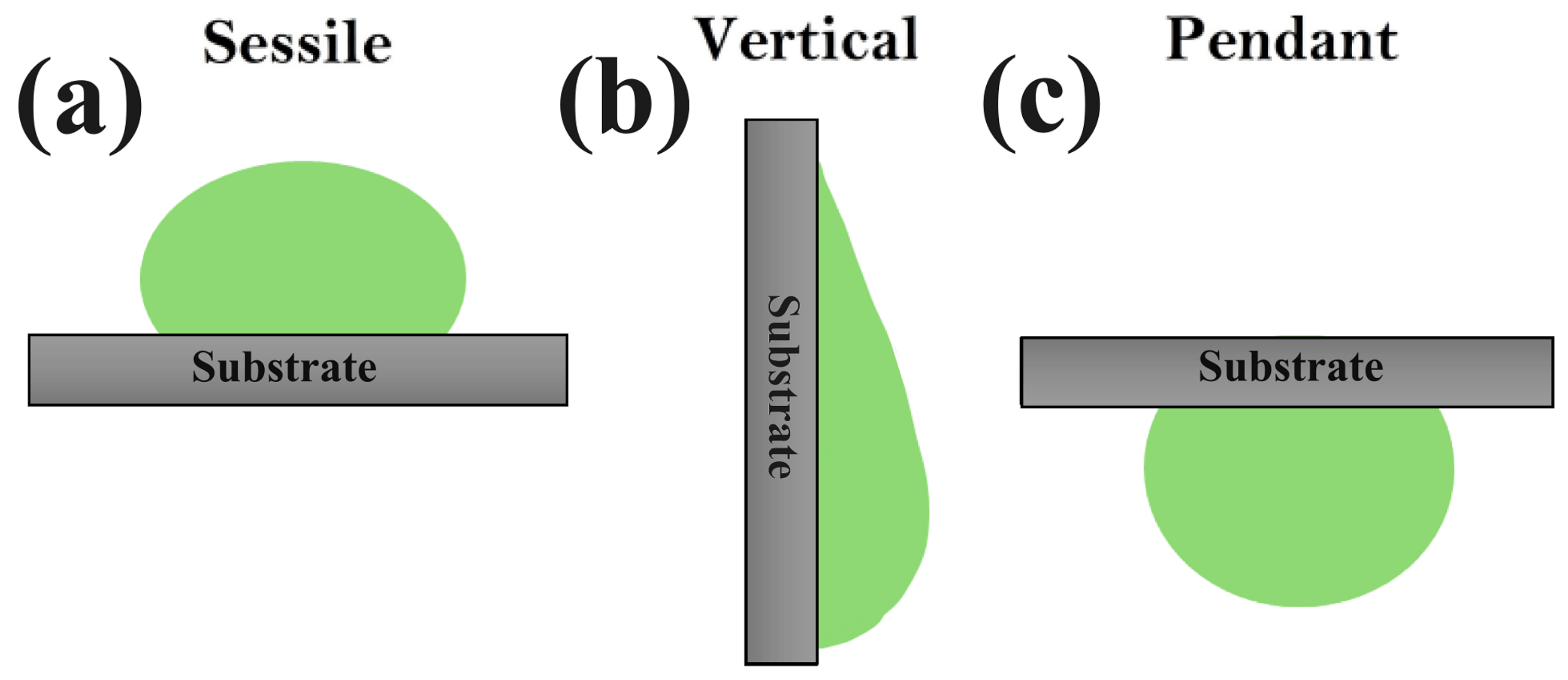 Coatings 14 01007 g001