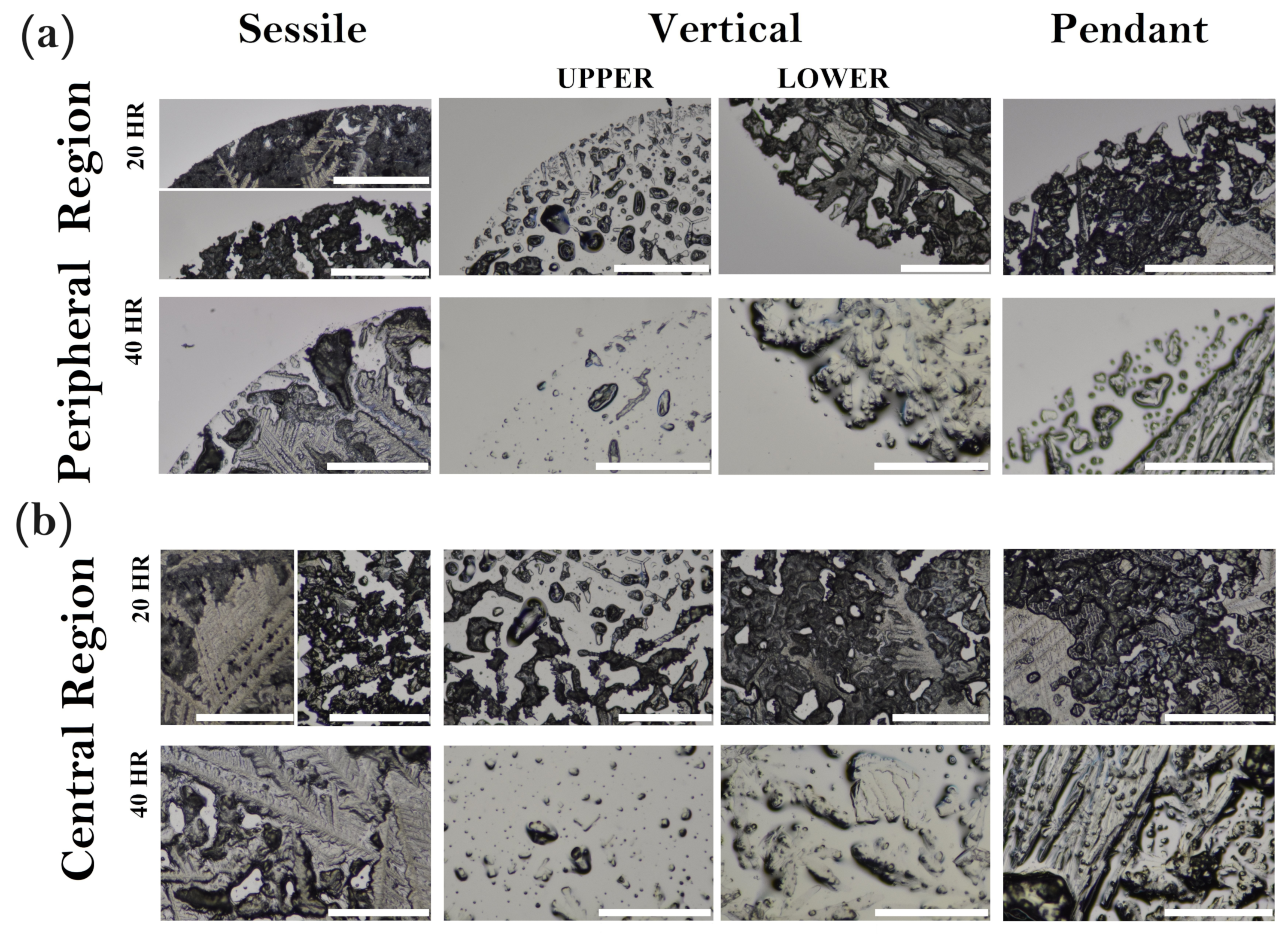Coatings 14 01007 g003