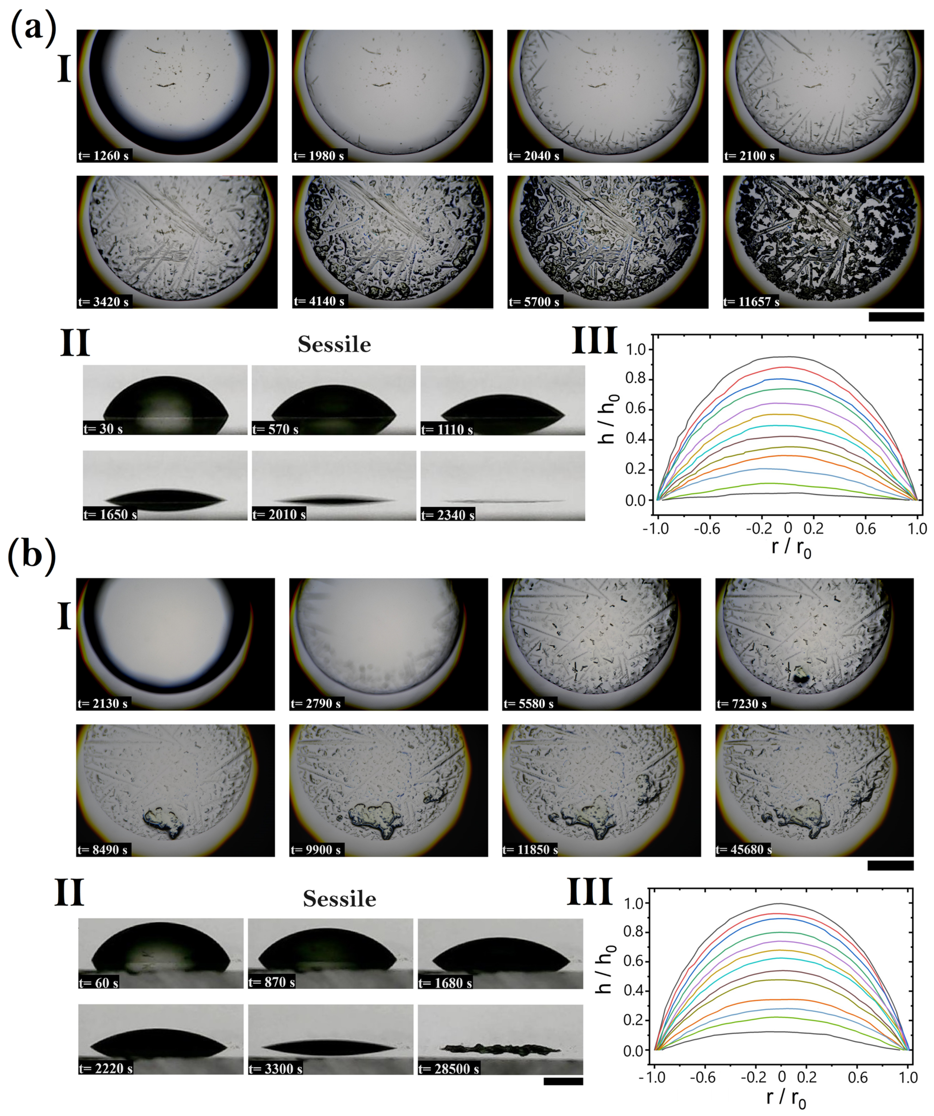 Coatings 14 01007 g004
