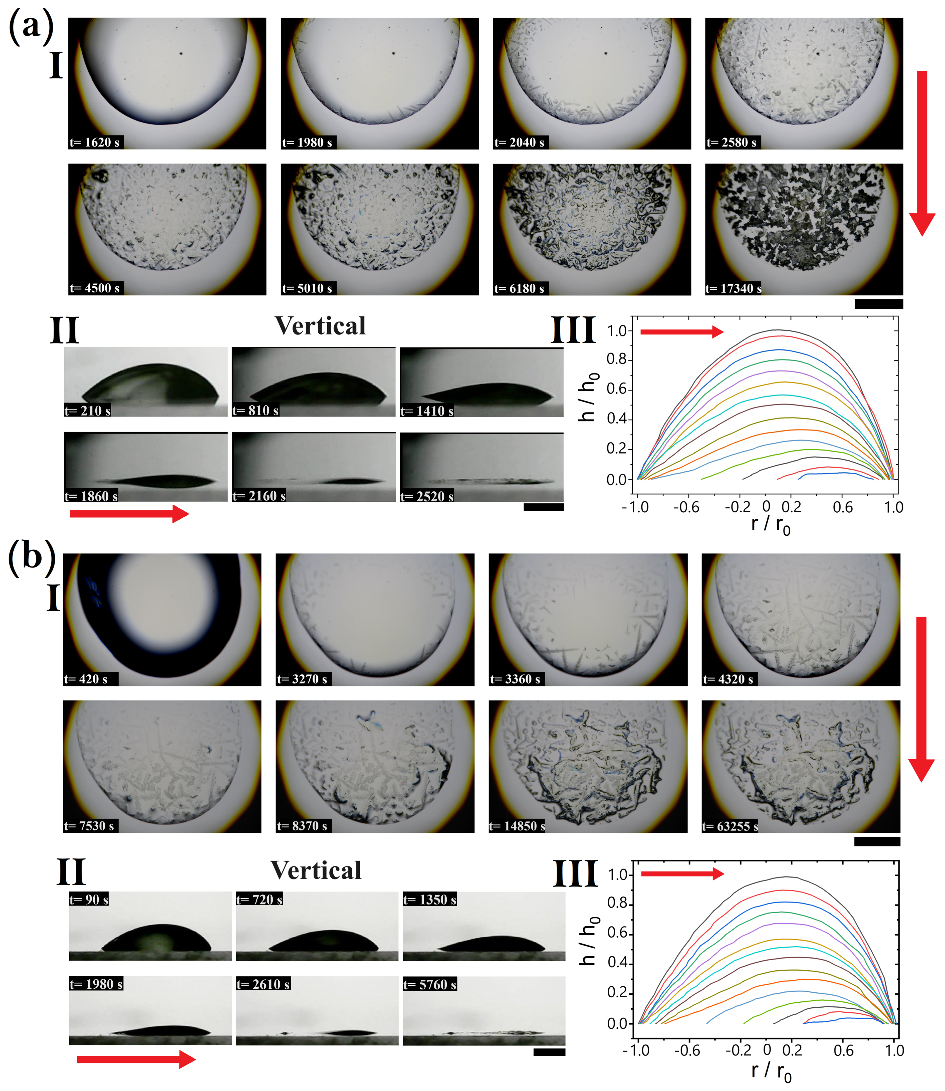 Coatings 14 01007 g005