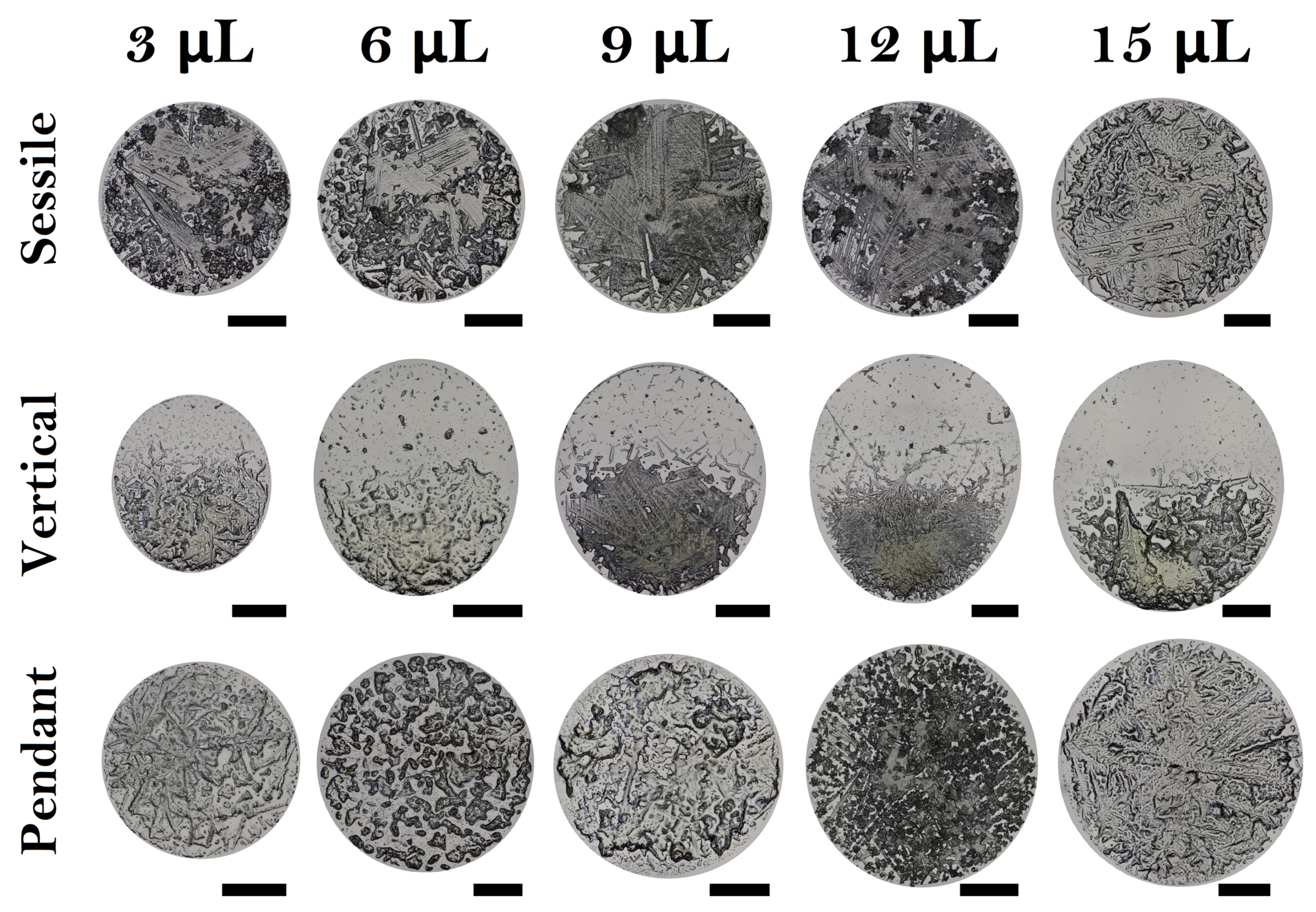 Coatings 14 01007 g009