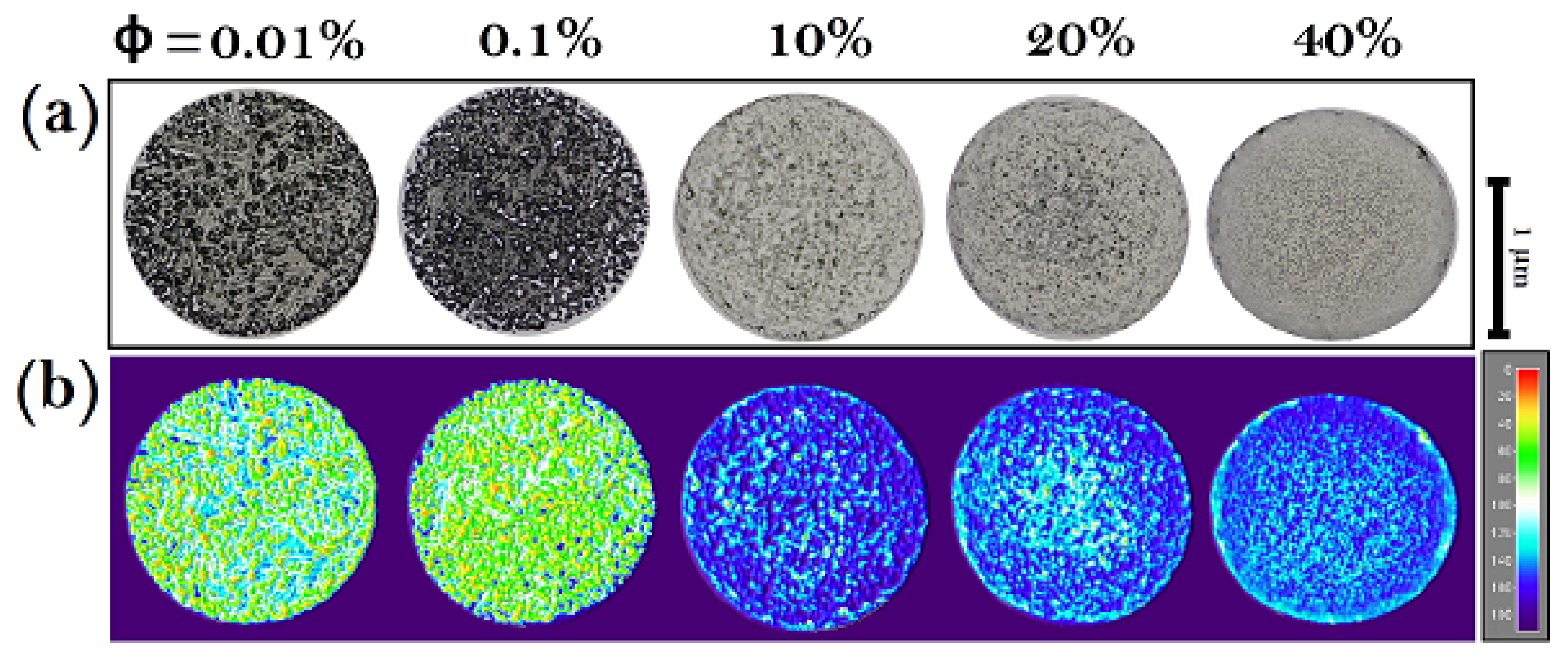 Coatings 14 01007 g012