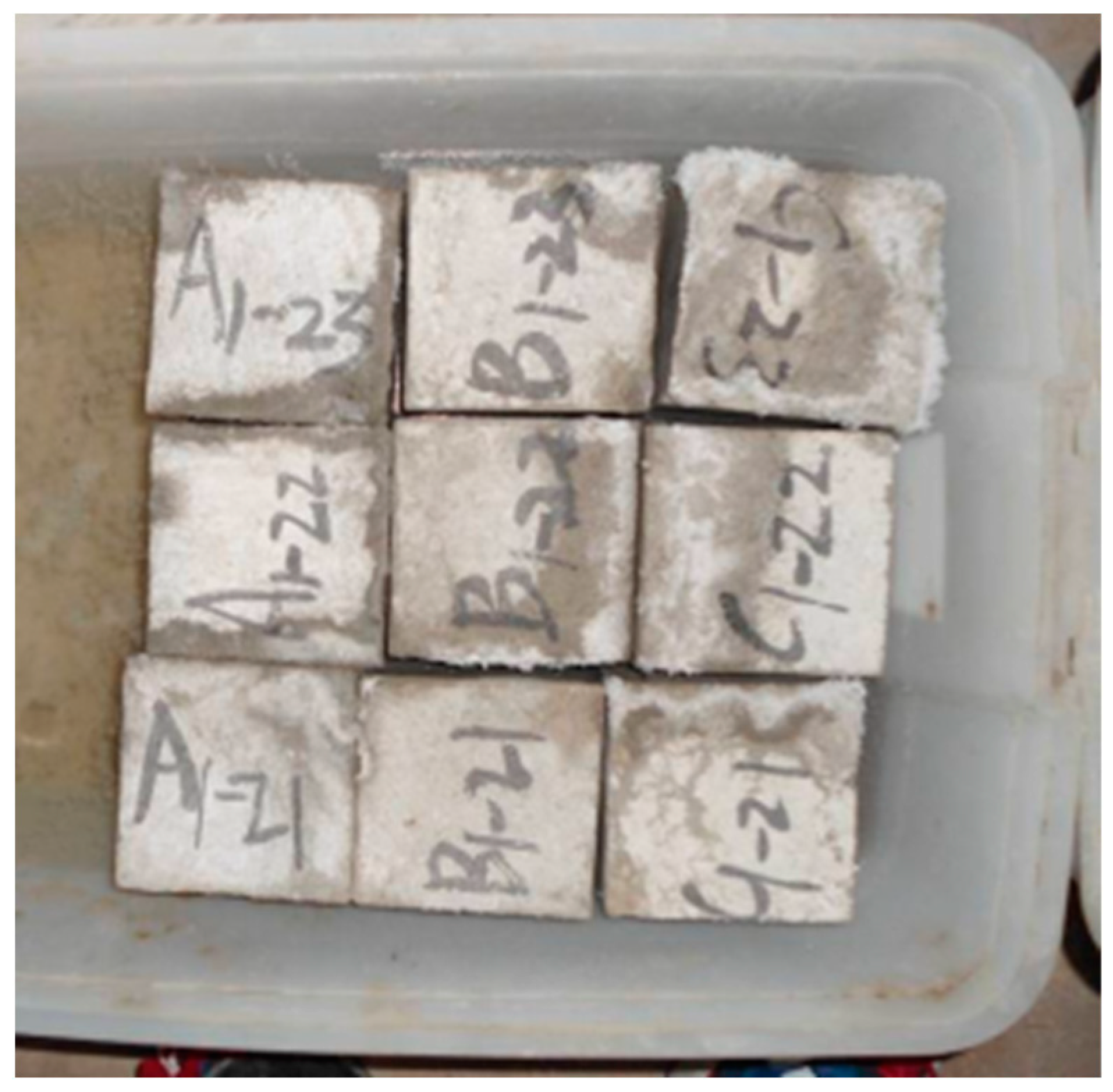 Coatings 14 01008 g008