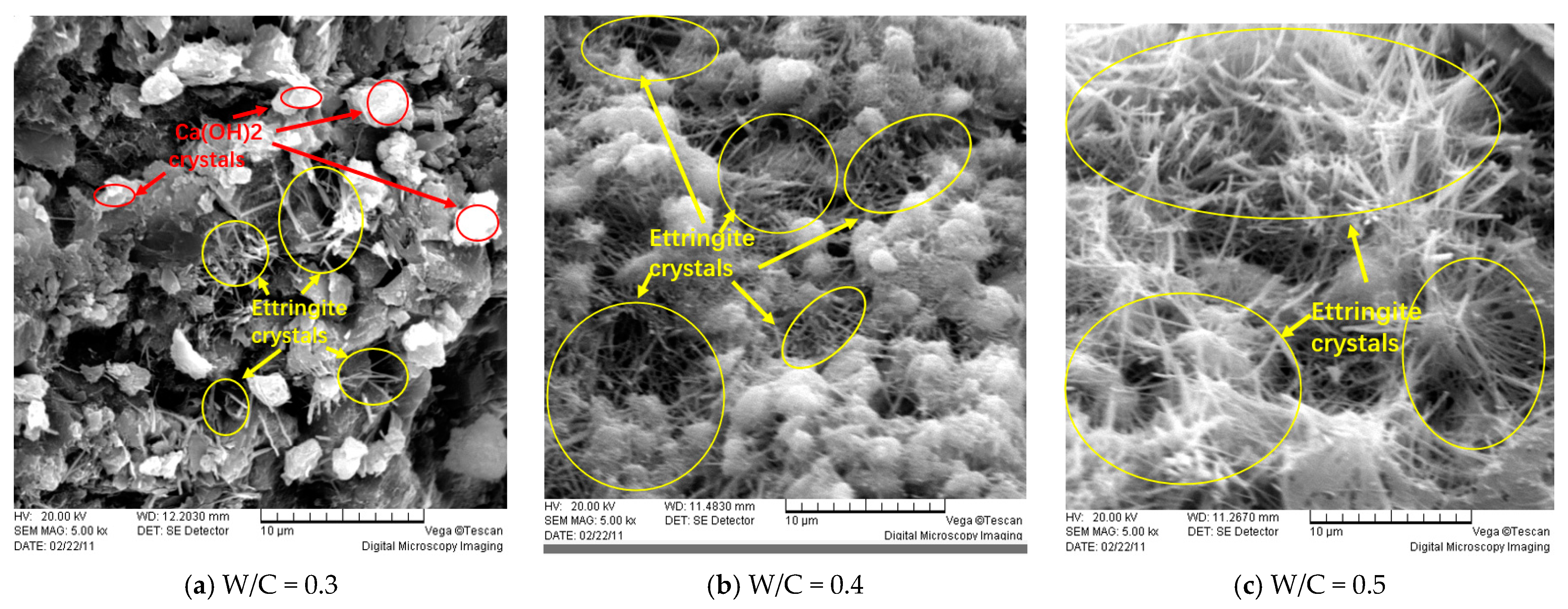 Coatings 14 01008 g032