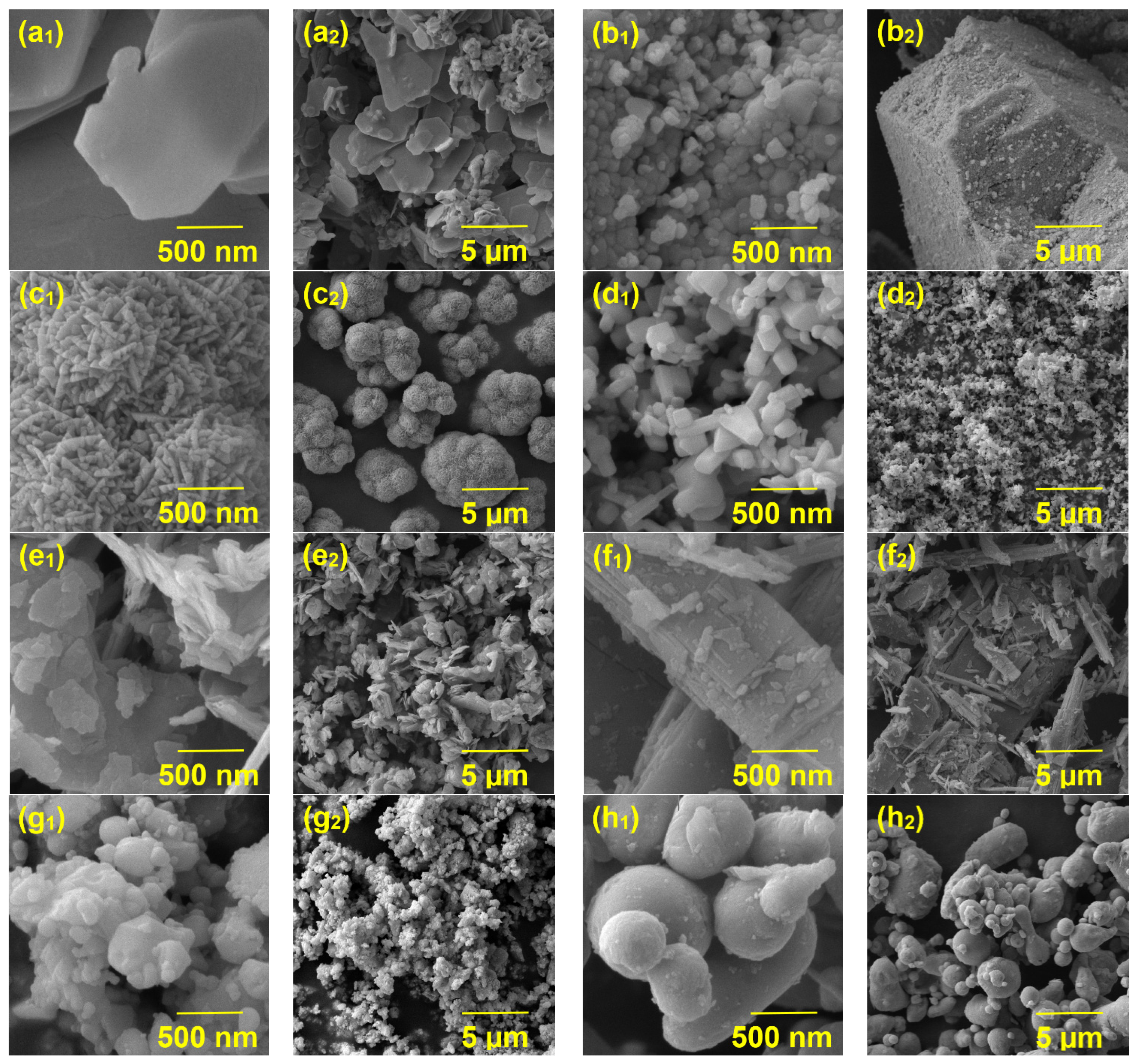 Coatings 14 01009 g002