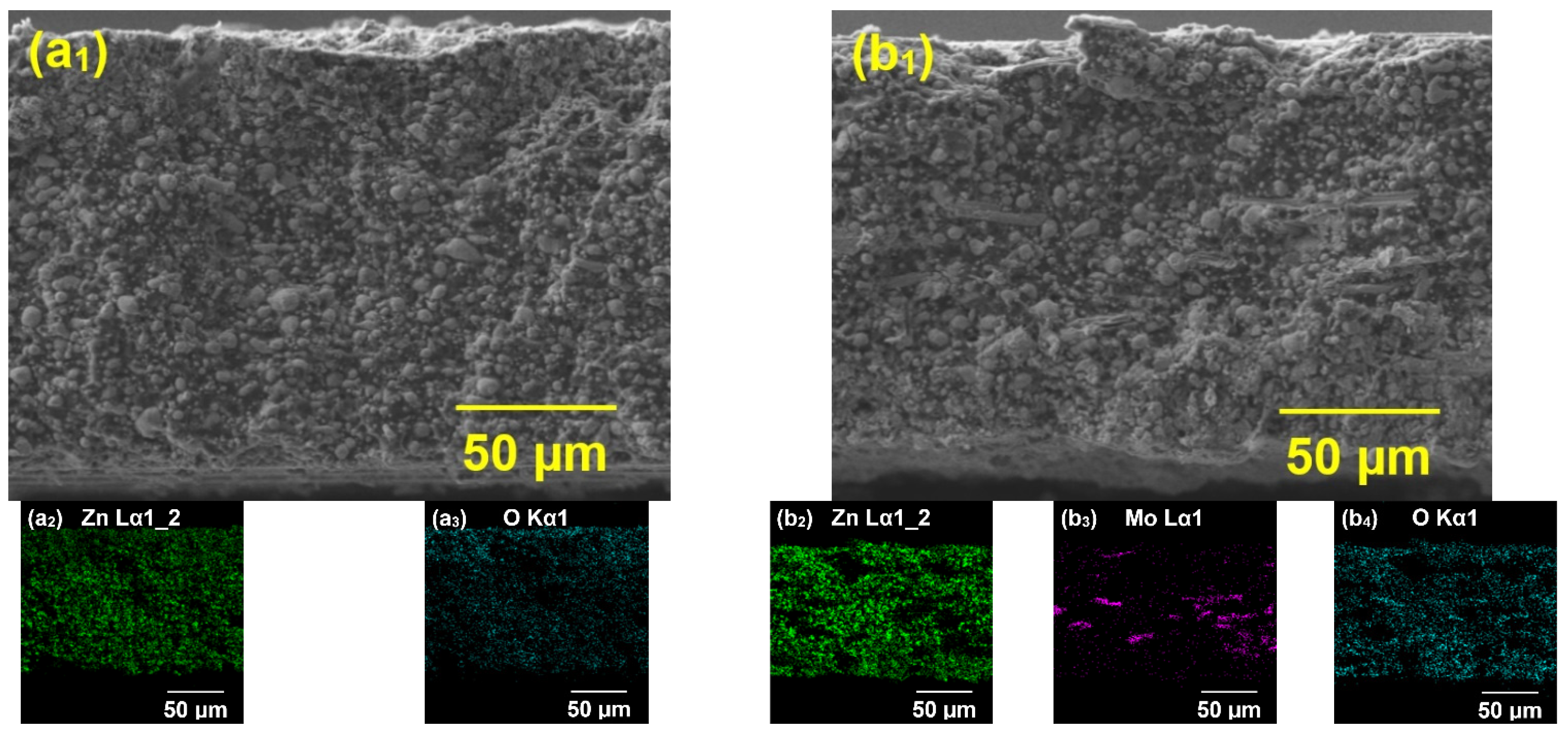 Coatings 14 01009 g003