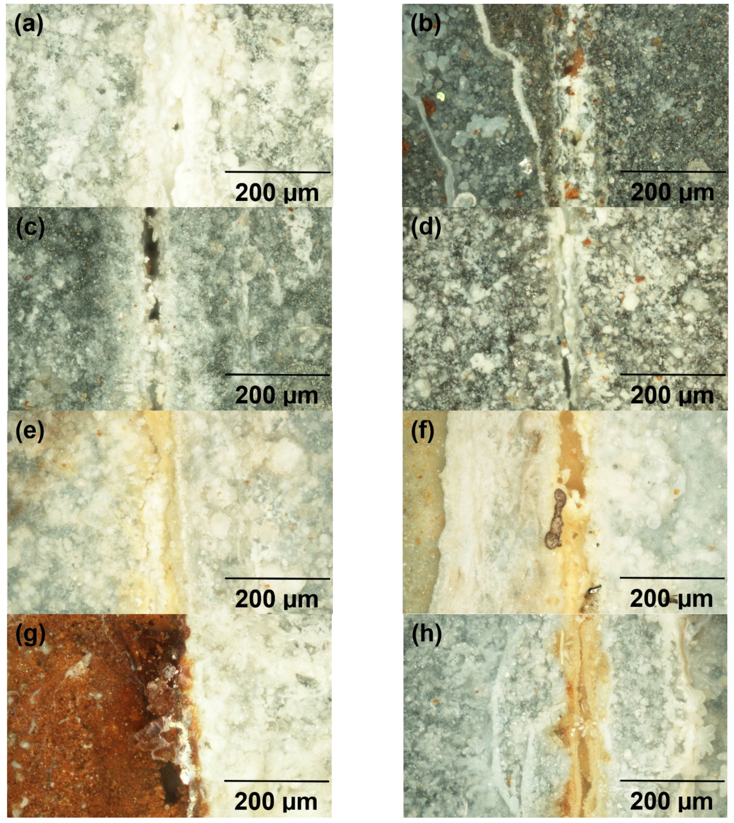 Coatings 14 01009 g007