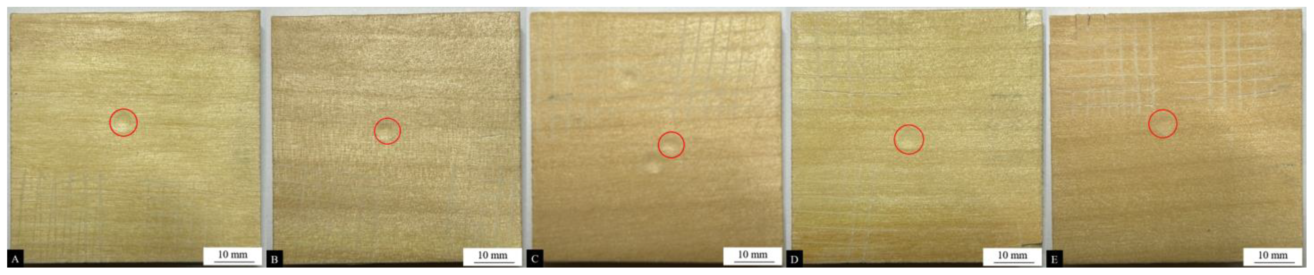 Coatings 14 01011 g007