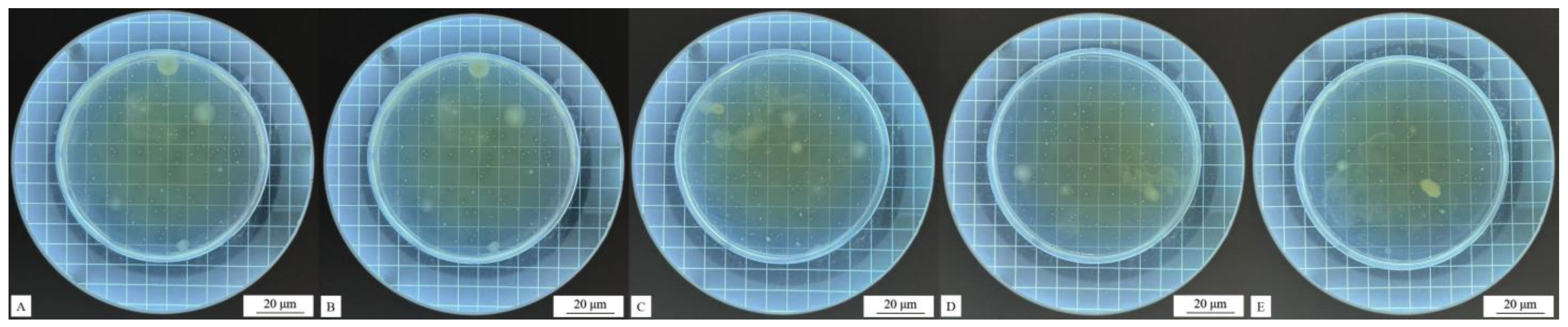 Coatings 14 01011 g010