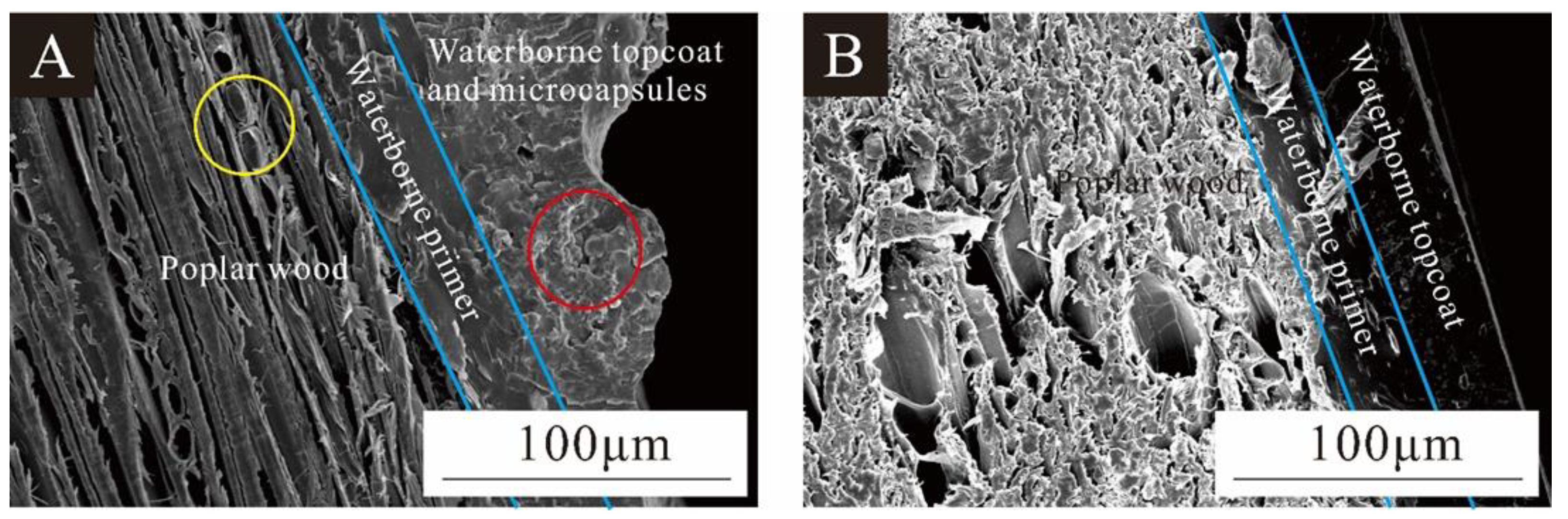 Coatings 14 01011 g014