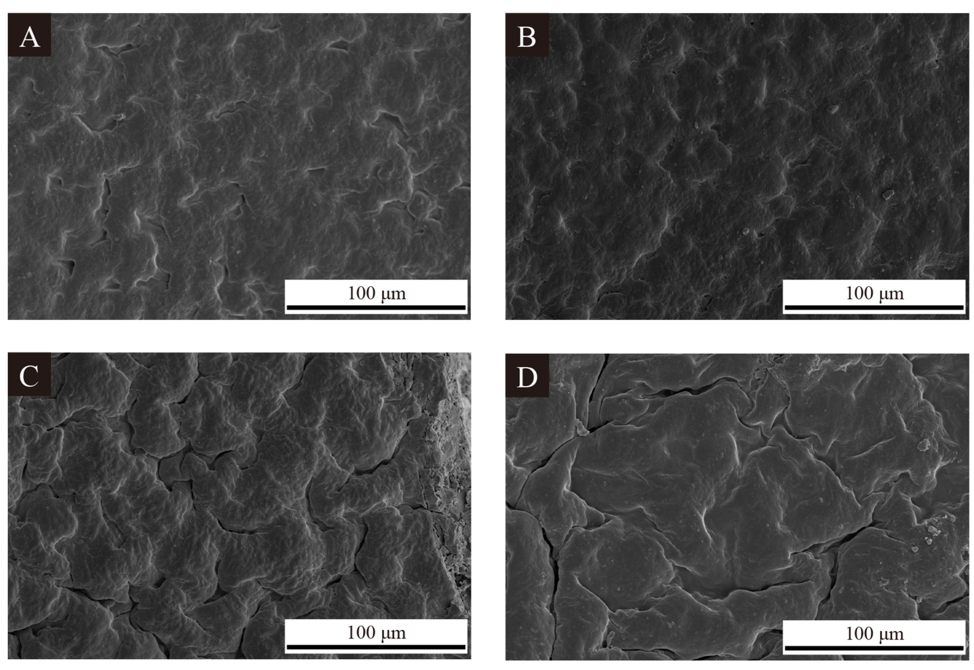 Coatings 14 01012 g004