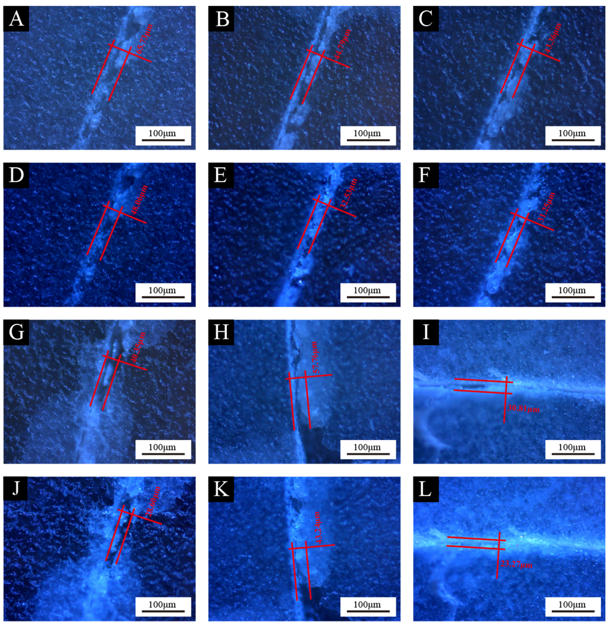 Coatings 14 01012 g011