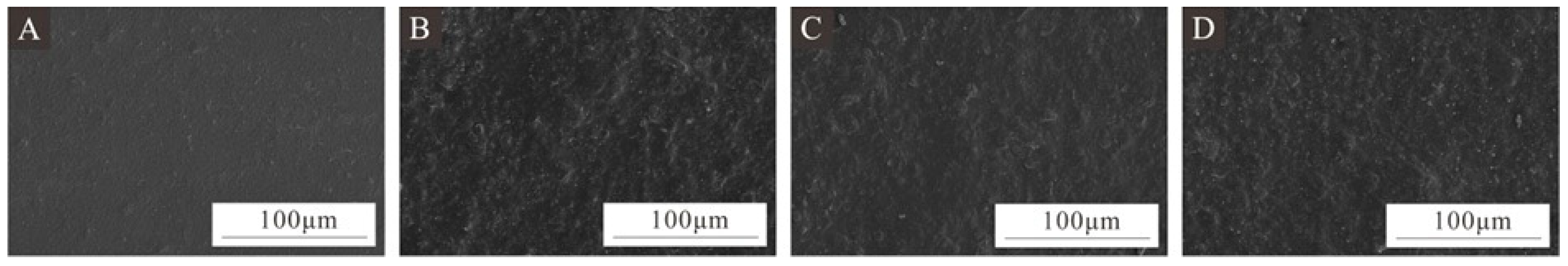 Coatings 14 01013 g009