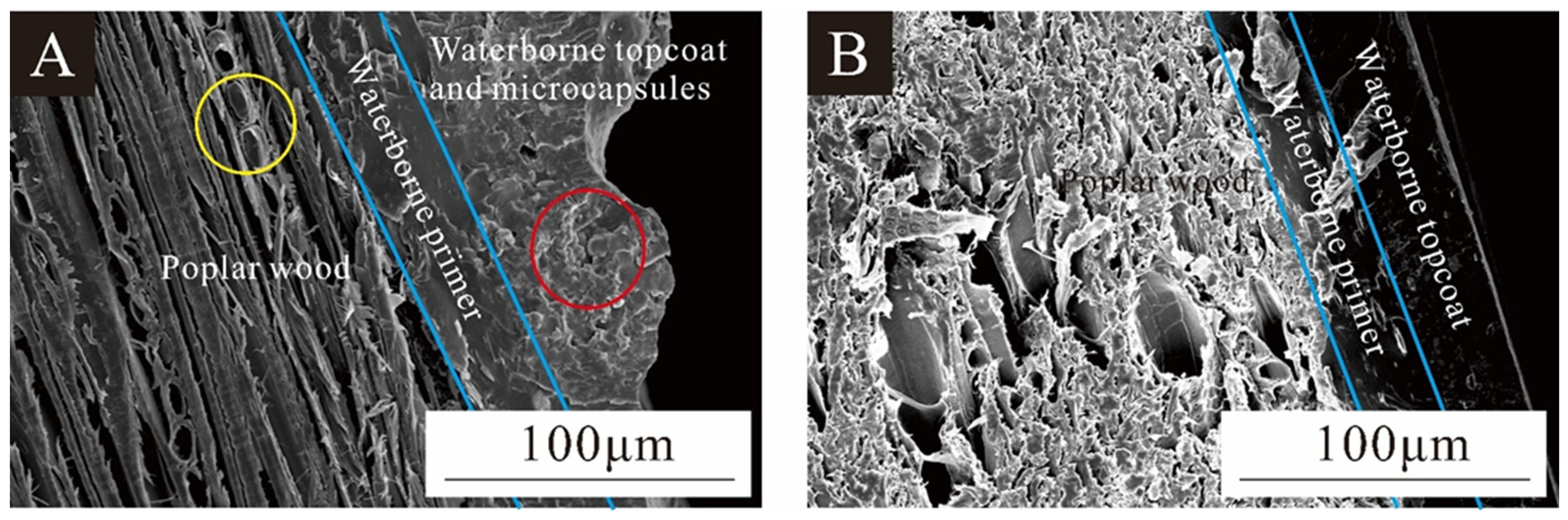 Coatings 14 01013 g011