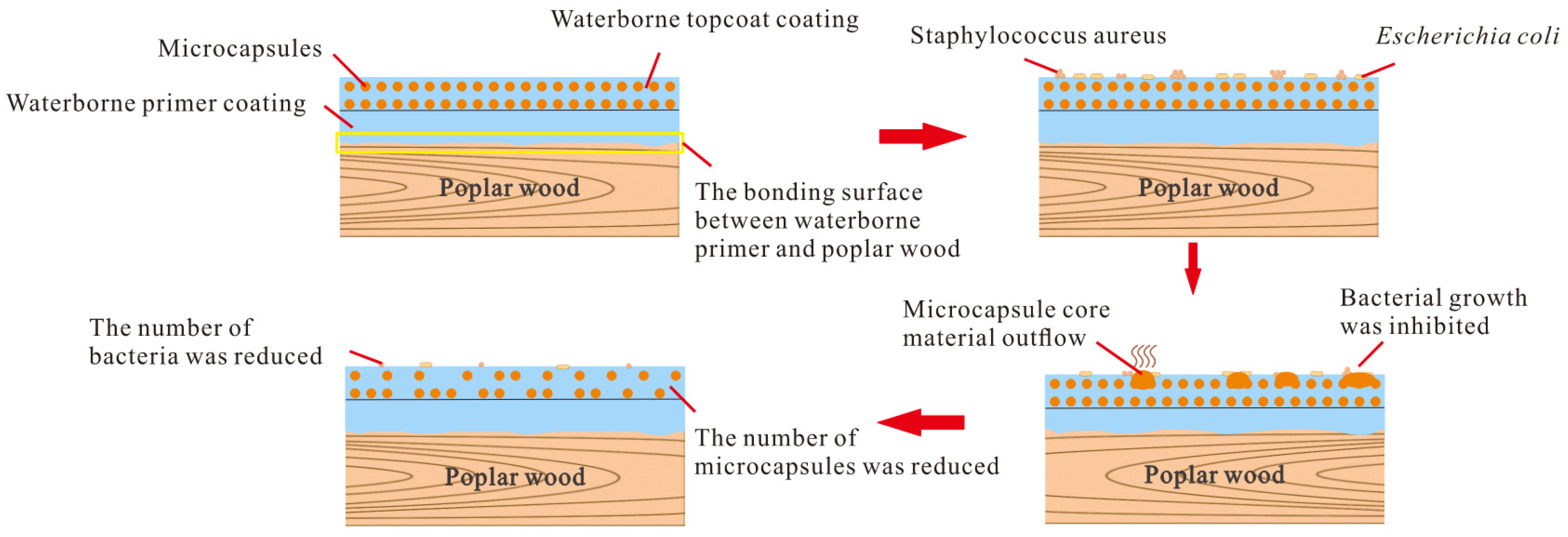 Coatings 14 01013 g012