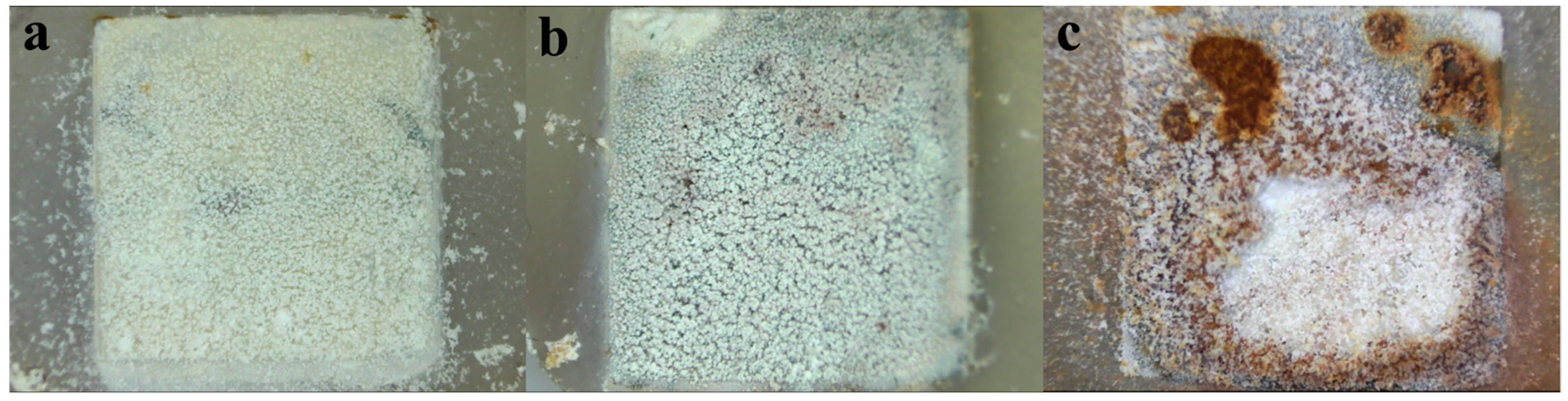 Coatings 14 01015 g003